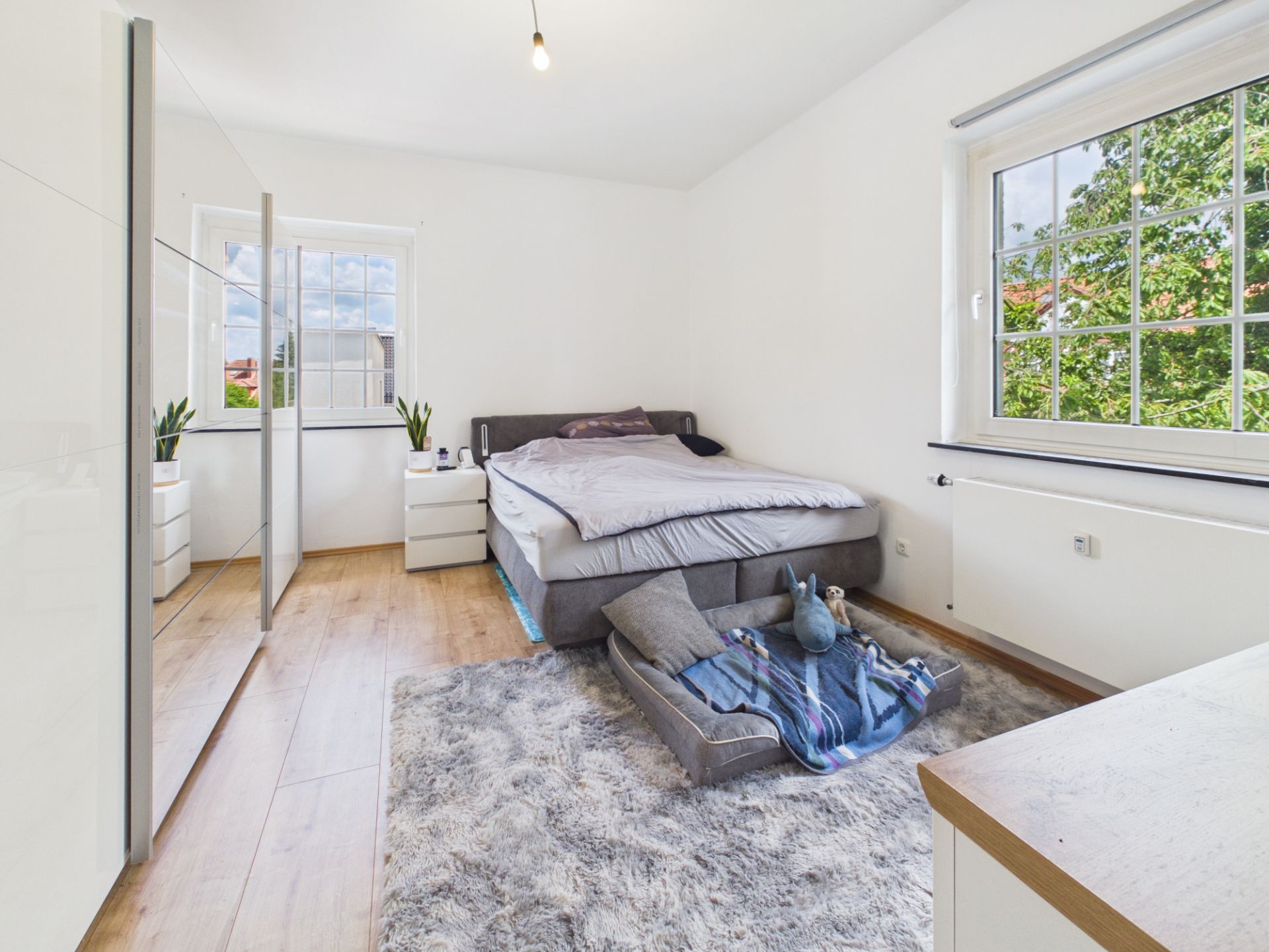 Helles Schlafzimmer mit Doppelbett, Teppich, Hundebett und zwei Fenstern.