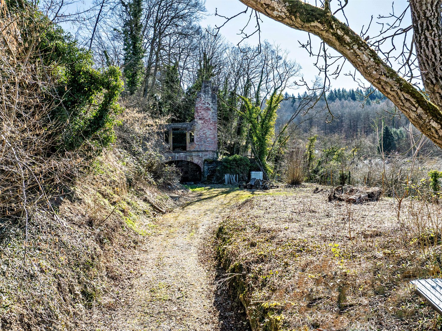 Ein schmaler Weg führt zu einer alten, teils überwachsenen Steingebäuderuine im Wald.