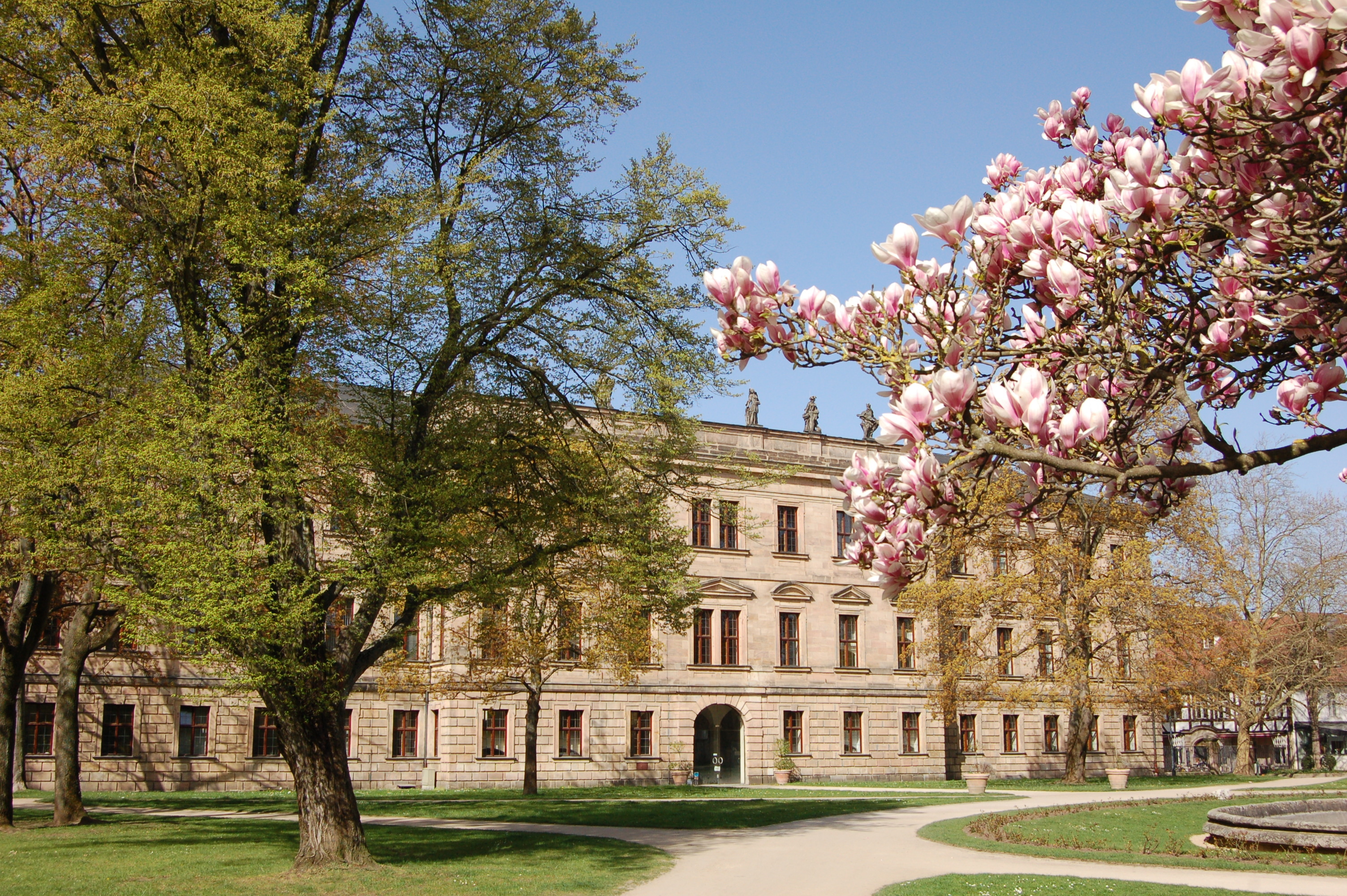 Historisches Gebäude mit Bäumen und blühendem Magnolienbaum im Vordergrund an einem sonnigen Tag.