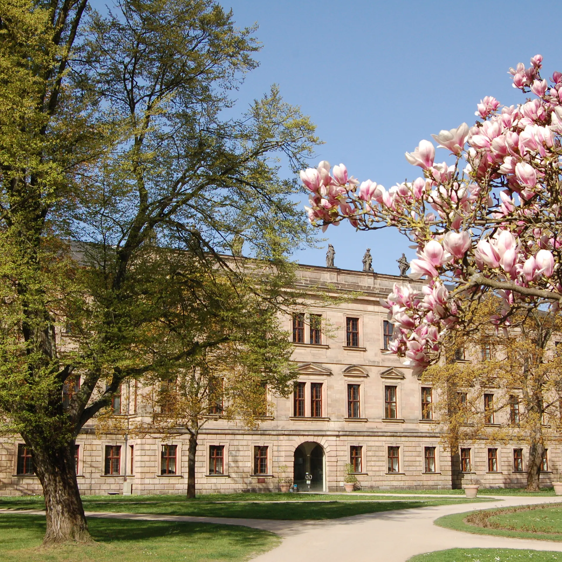 Historisches Gebäude mit Bäumen und blühendem Magnolienbaum im Vordergrund an einem sonnigen Tag.