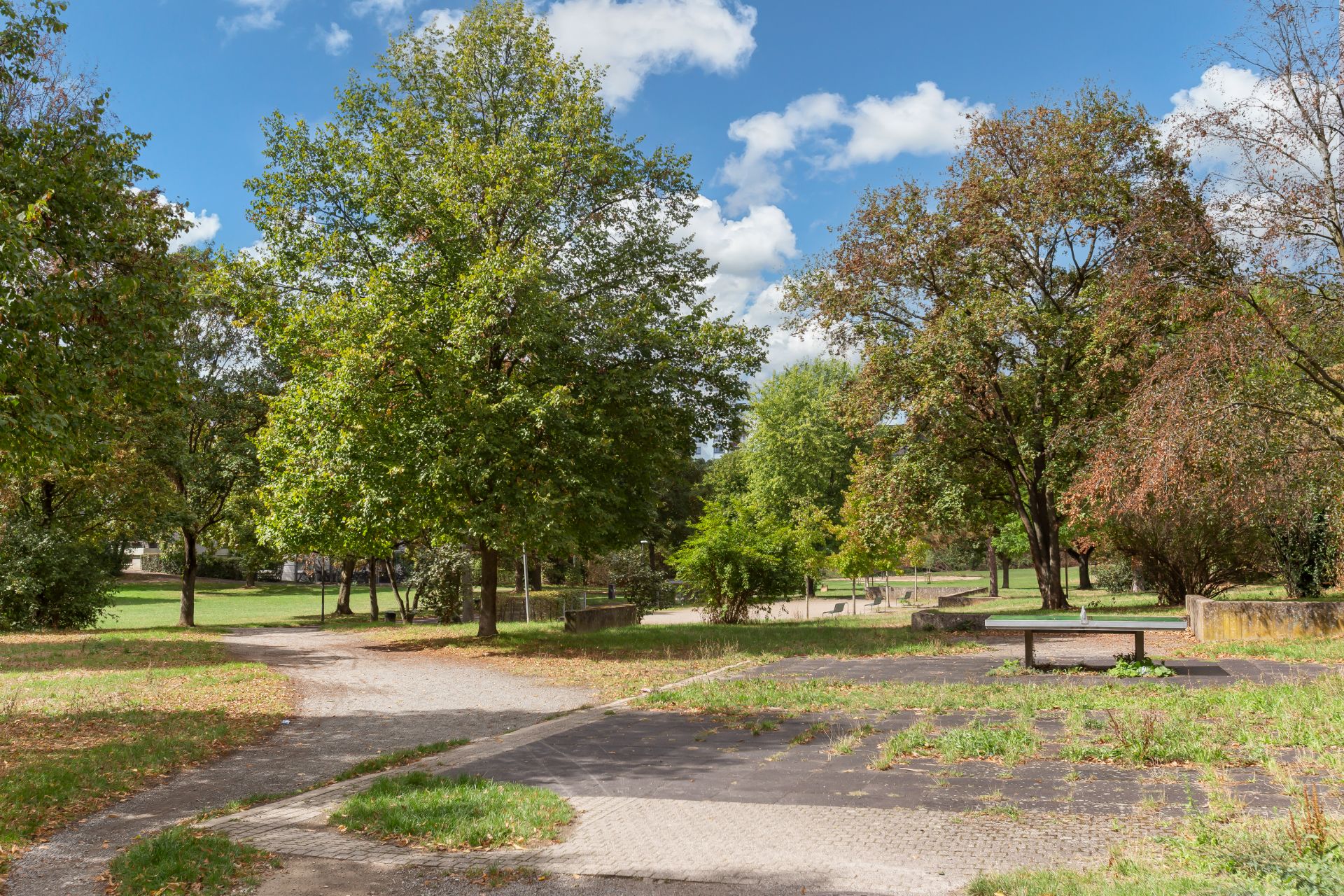 Grüne Parkanlage mit Bäumen, Wegen und einer Sitzbank unter blauem Himmel.