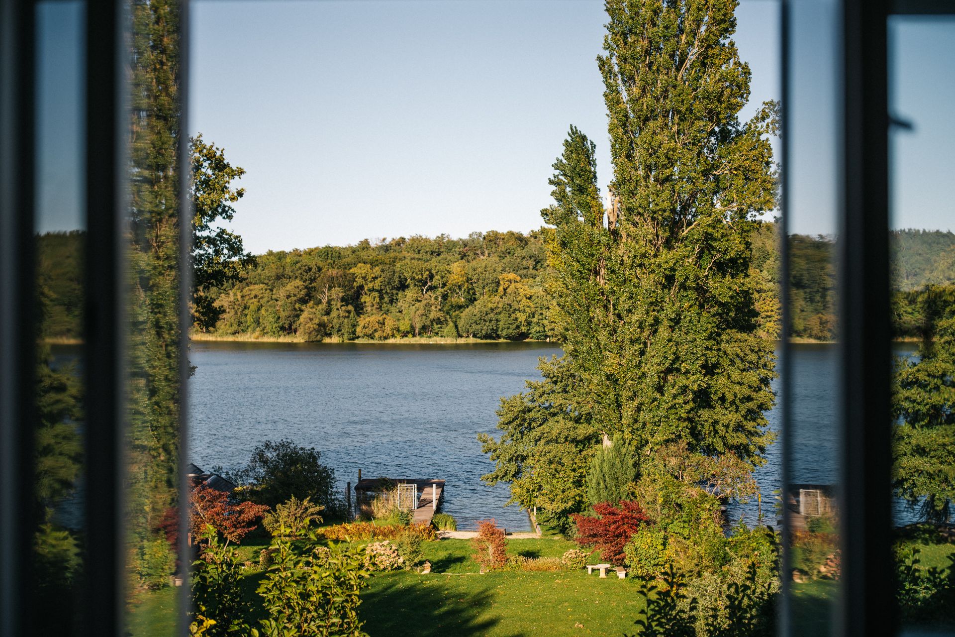 Blick durchs Fenster auf einen Garten mit Bäumen und einen See im Hintergrund.