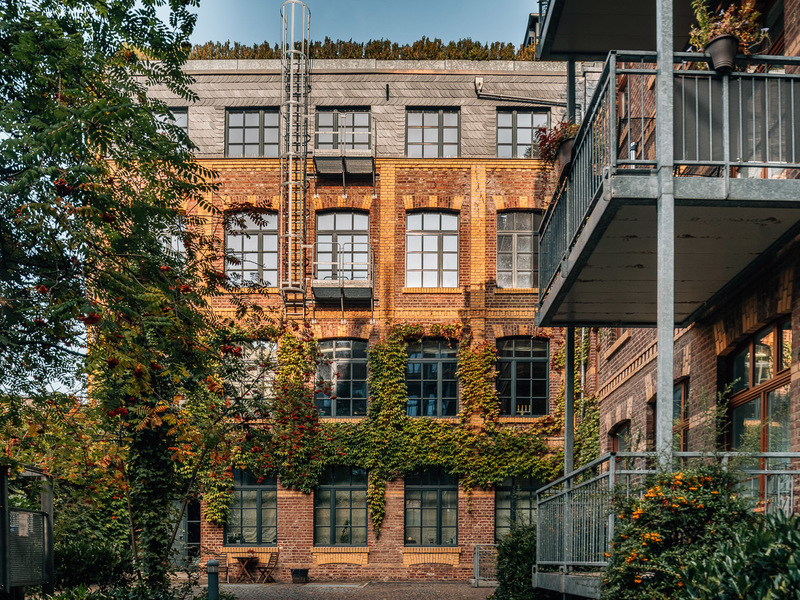 Backsteinwohnhaus mit großen Fenstern und grüner Kletterpflanze an der Fassade.