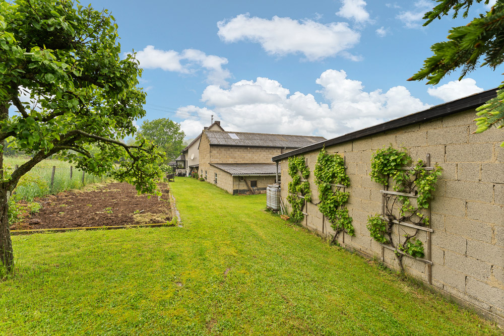 Garten mit Rasenfläche, Gemüsebeet, Baum und Haus im Hintergrund bei sonnigem Wetter.