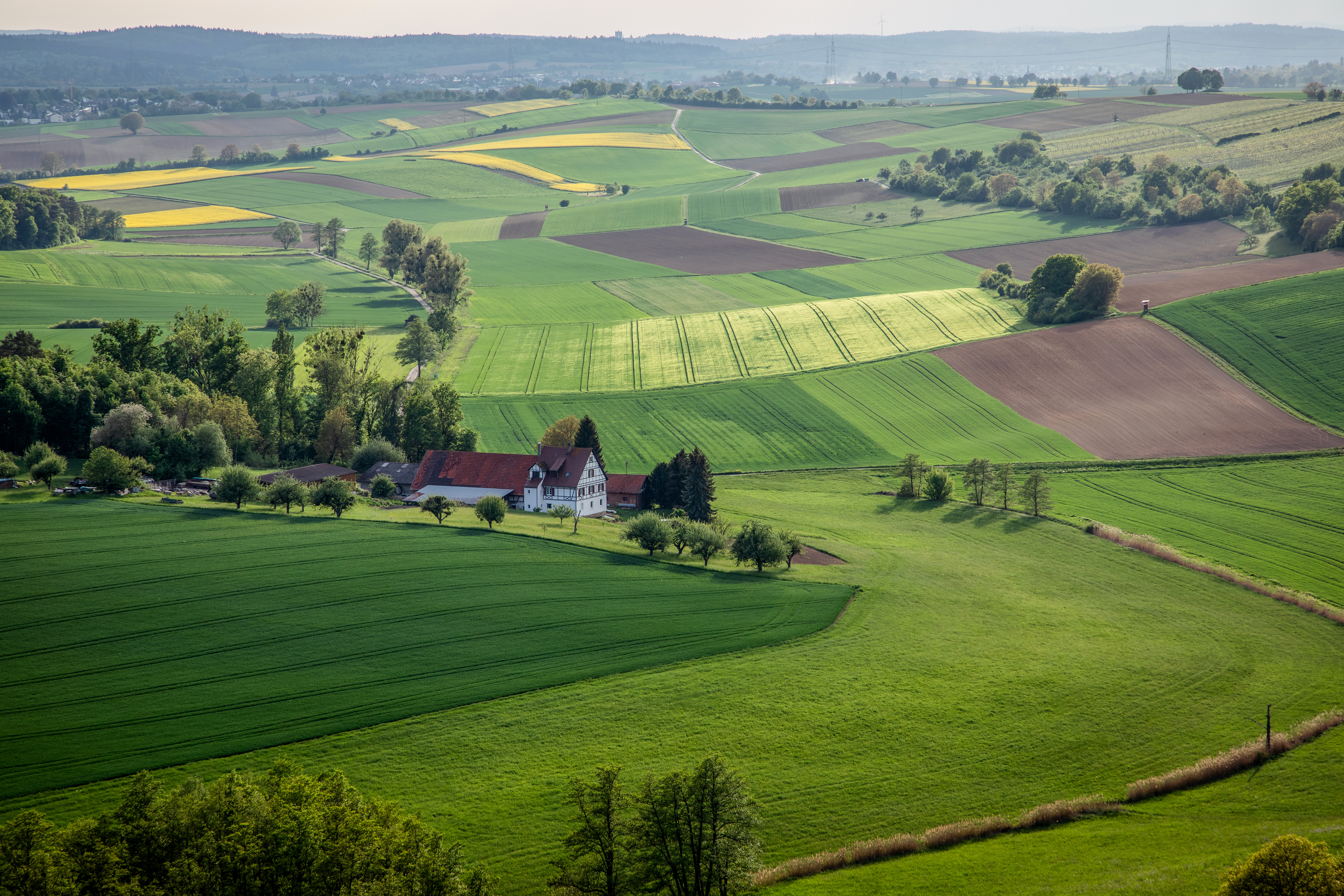 Bauernhaus mit roten Dächern inmitten grüner und brauner Felder, umgeben von Bäumen.