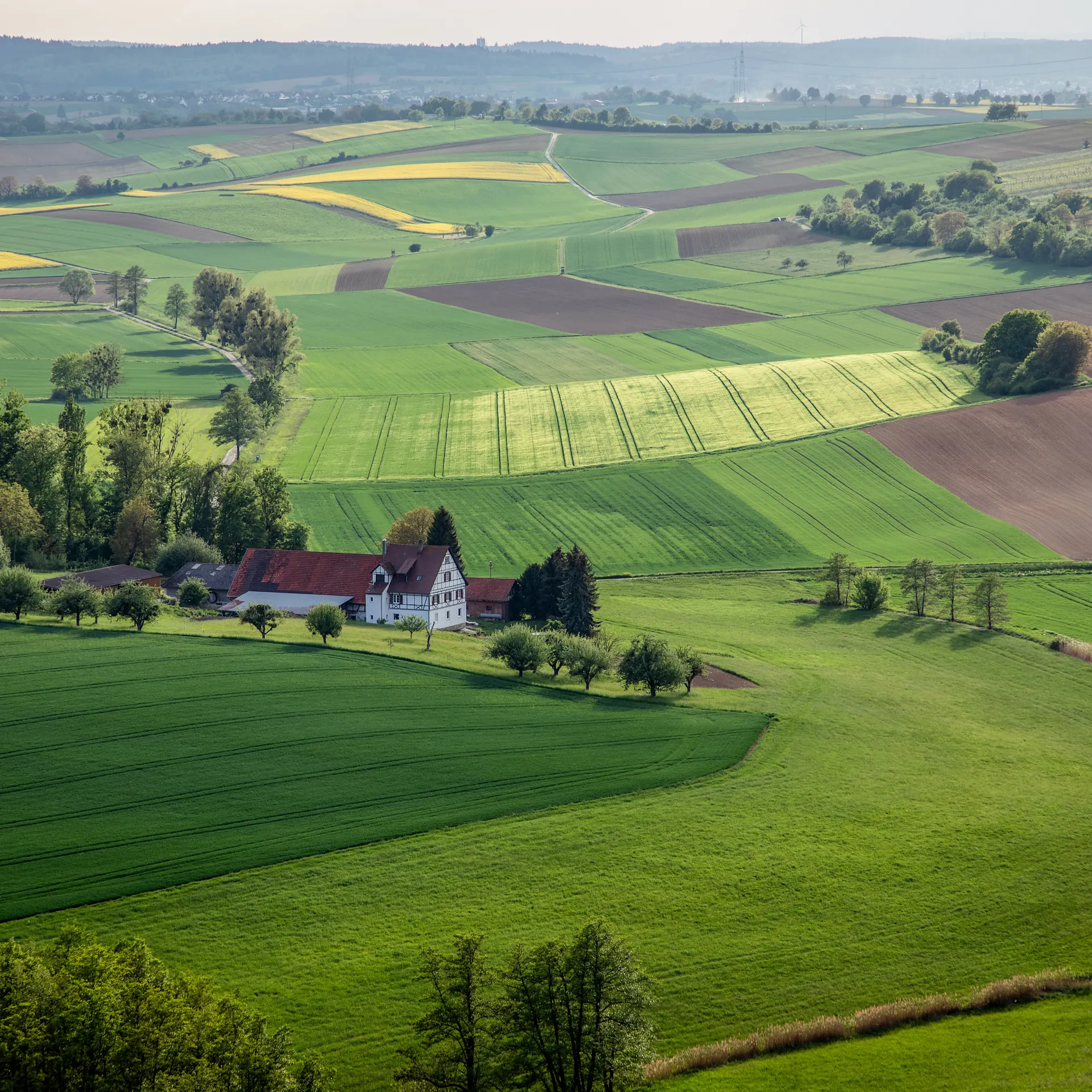 Bauernhaus mit roten Dächern inmitten grüner und brauner Felder, umgeben von Bäumen.