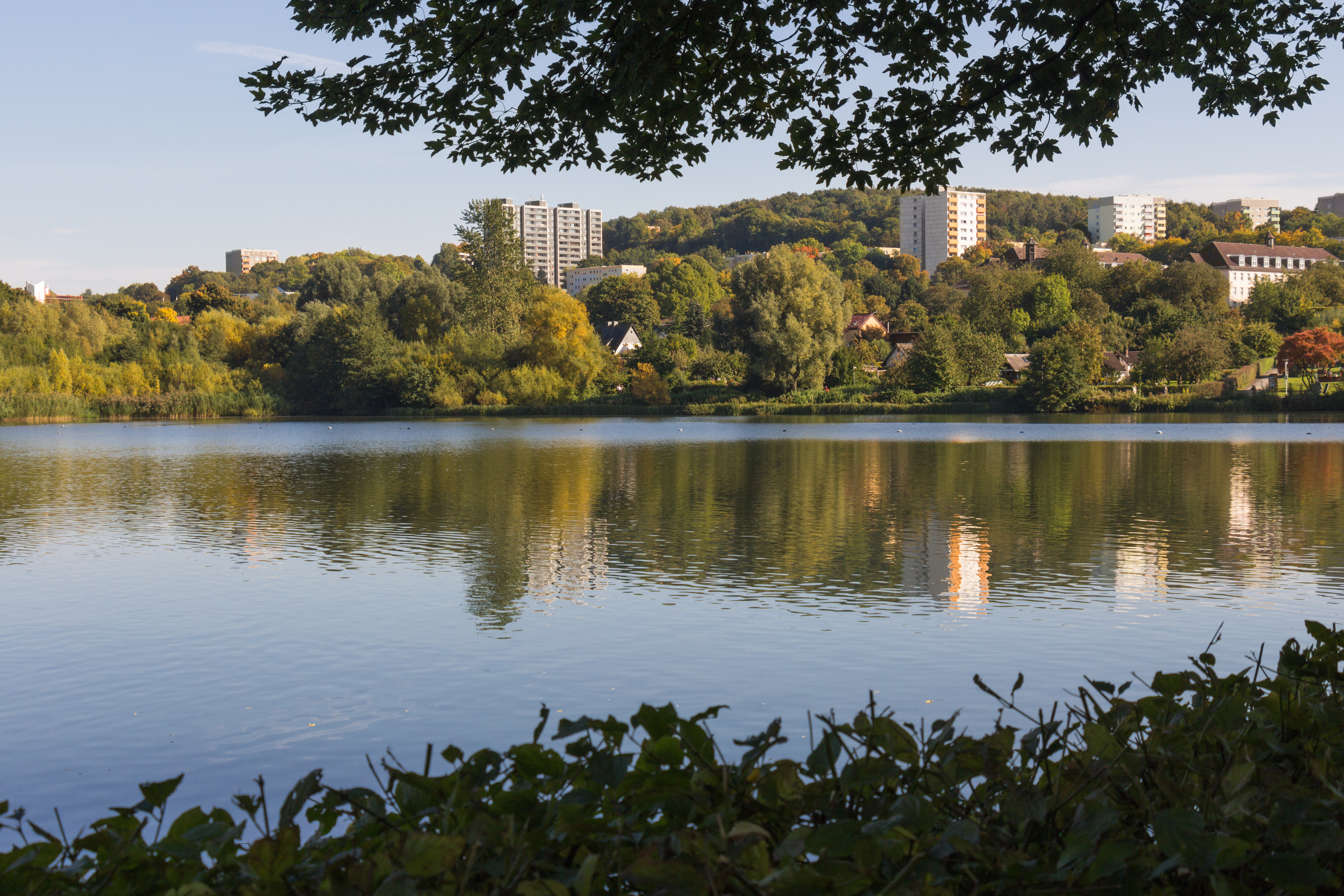 Blick auf einen ruhigen See mit Bäumen und Wohngebäuden im Hintergrund.