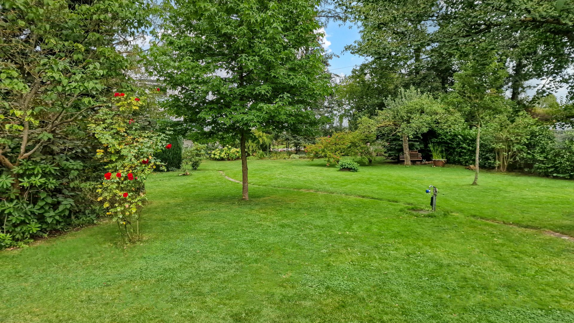 Grüner Garten mit Bäumen, Rasen und blühenden Sträuchern, im Hintergrund eine Sitzbank.