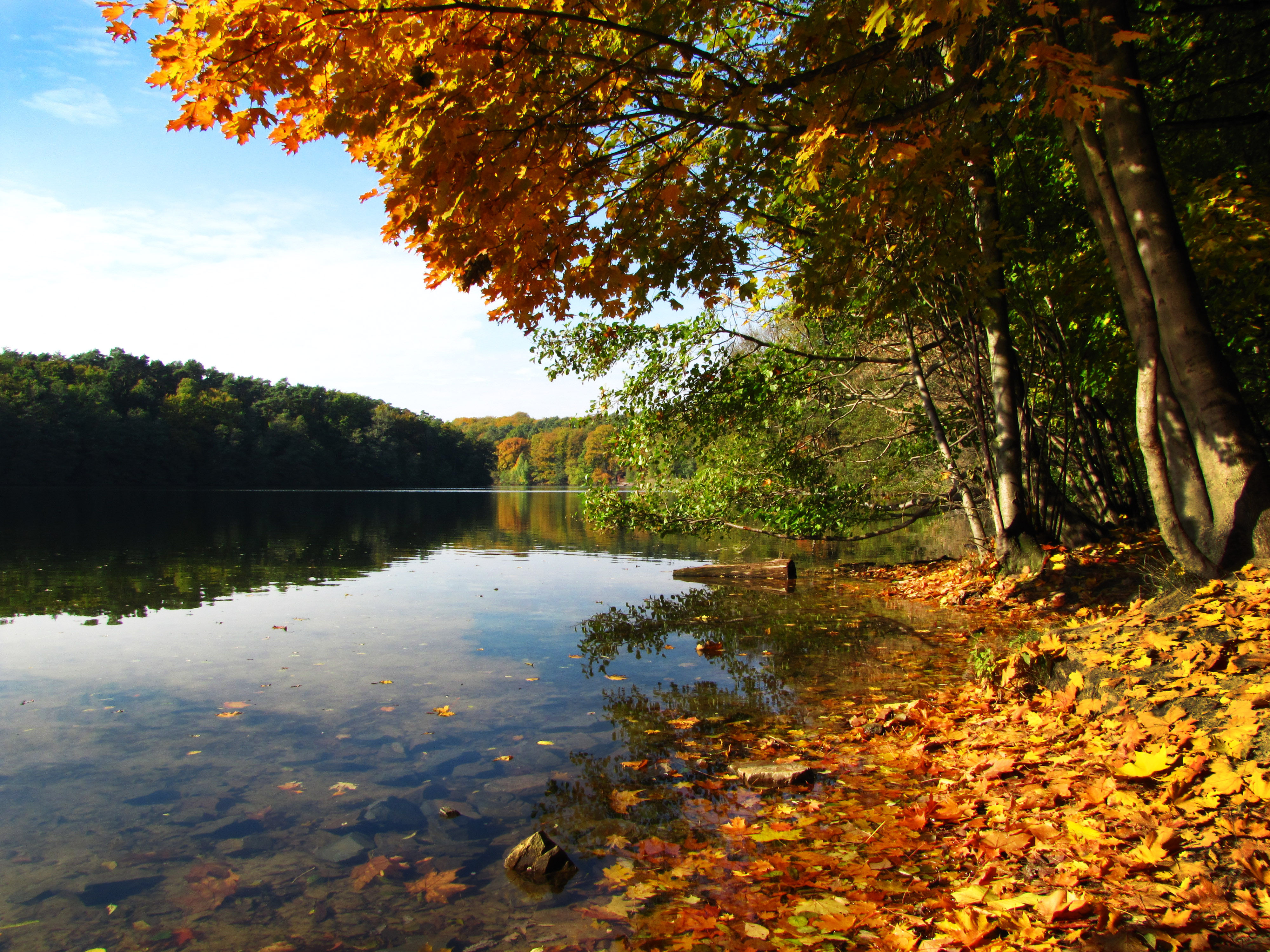 Berlin Schlachtensee Herbst am Schlachtensee Copyright: pixelio/Rainer Sturm