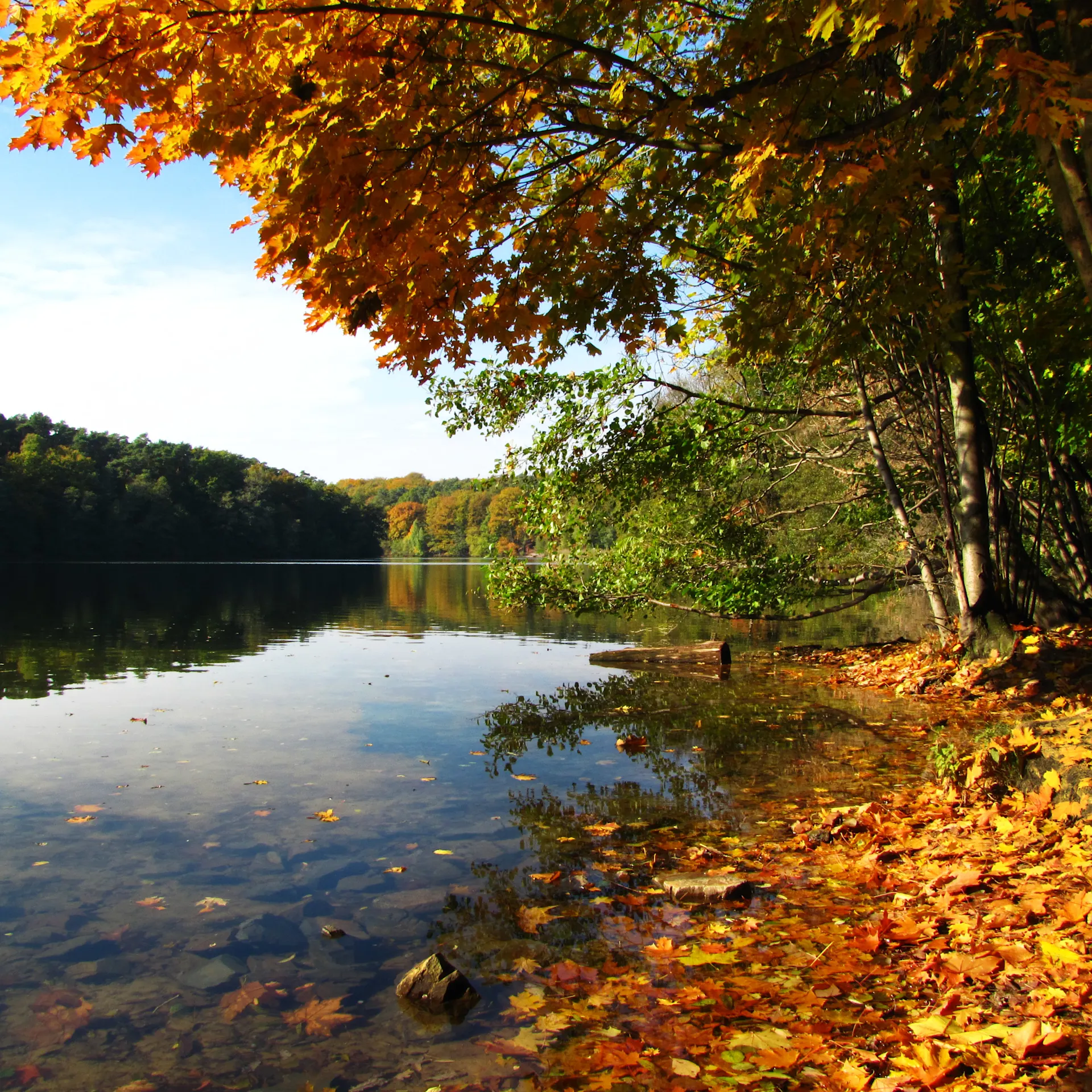 Berlin Schlachtensee Herbst am Schlachtensee Copyright: pixelio/Rainer Sturm