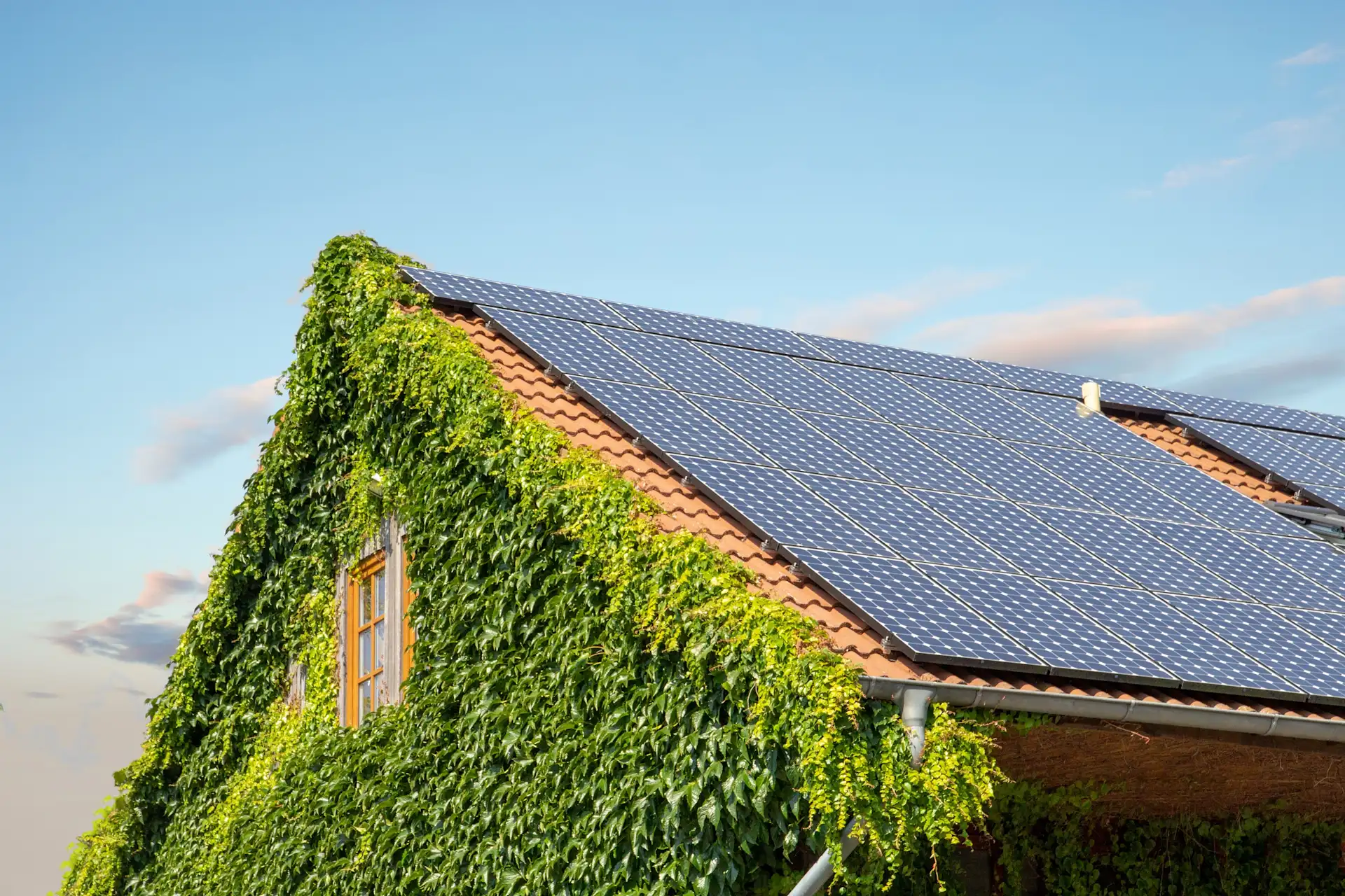 Hausdach mit Solarpanels und Außenwand überwuchert von grünen Pflanzen.