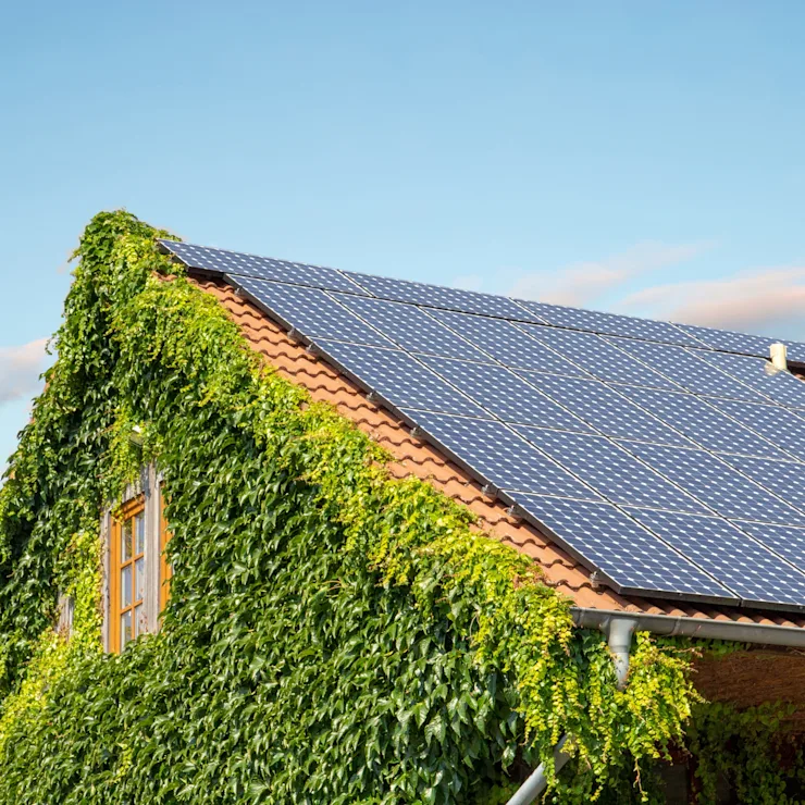 Hausdach mit Solarpanels und Außenwand überwuchert von grünen Pflanzen.