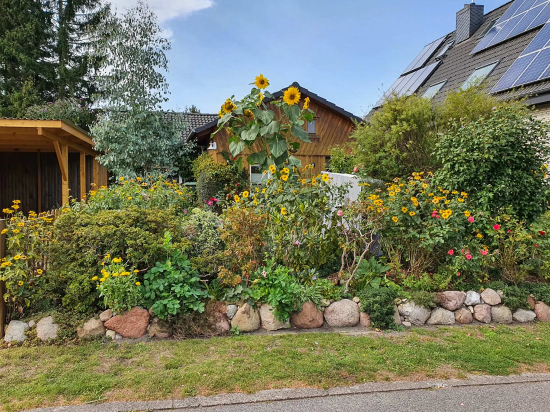 Garten mit vielen Blumen, Sträuchern, Sonnenblumen und Steinen vor einem Wohnhaus.