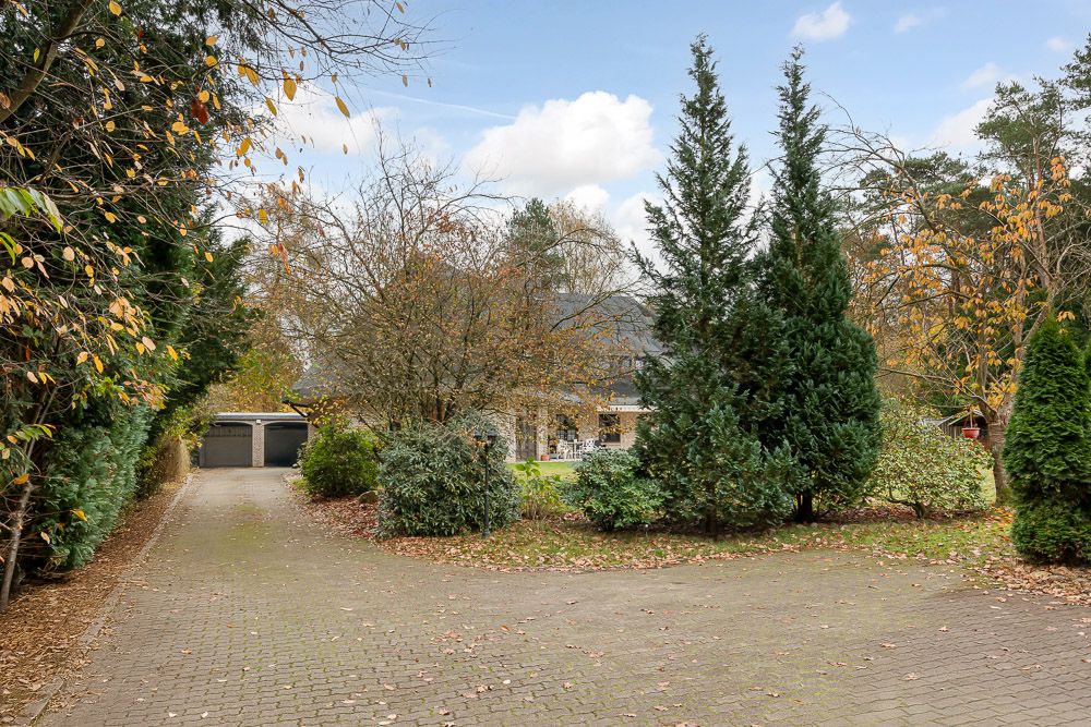 Gepflasterte Einfahrt zu einem Haus mit Garage, umgeben von Bäumen und Sträuchern.