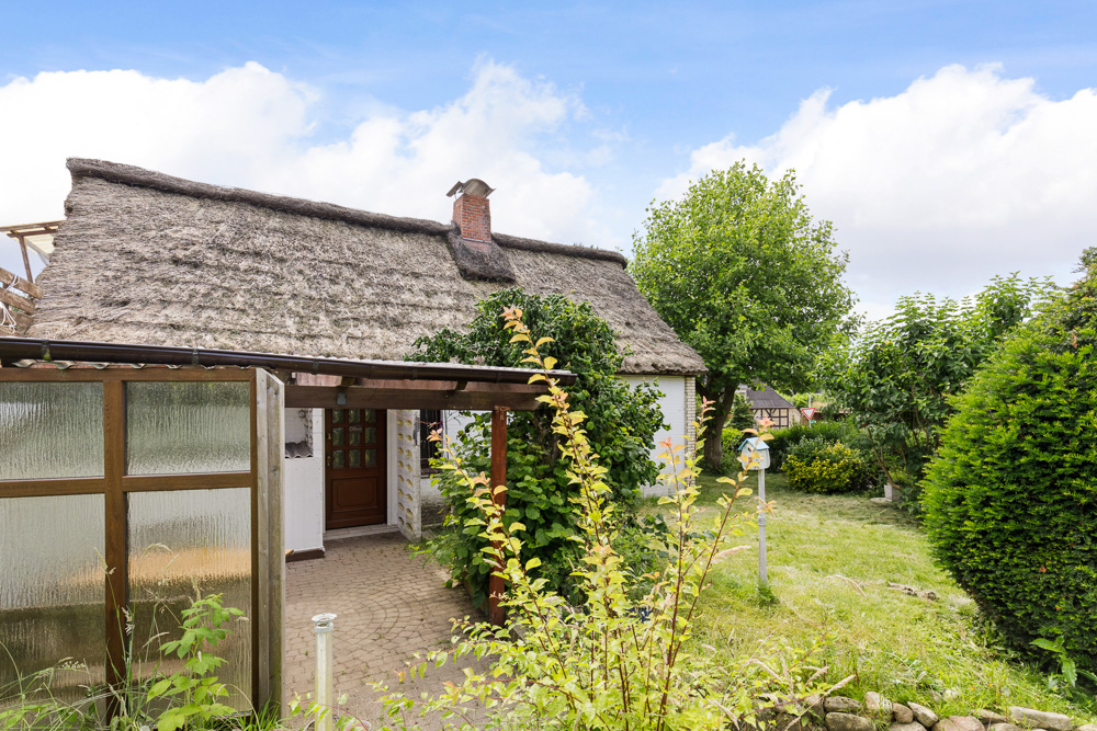 Ein weißes Haus mit Reetdach und Garten, umgeben von Bäumen und Sträuchern.