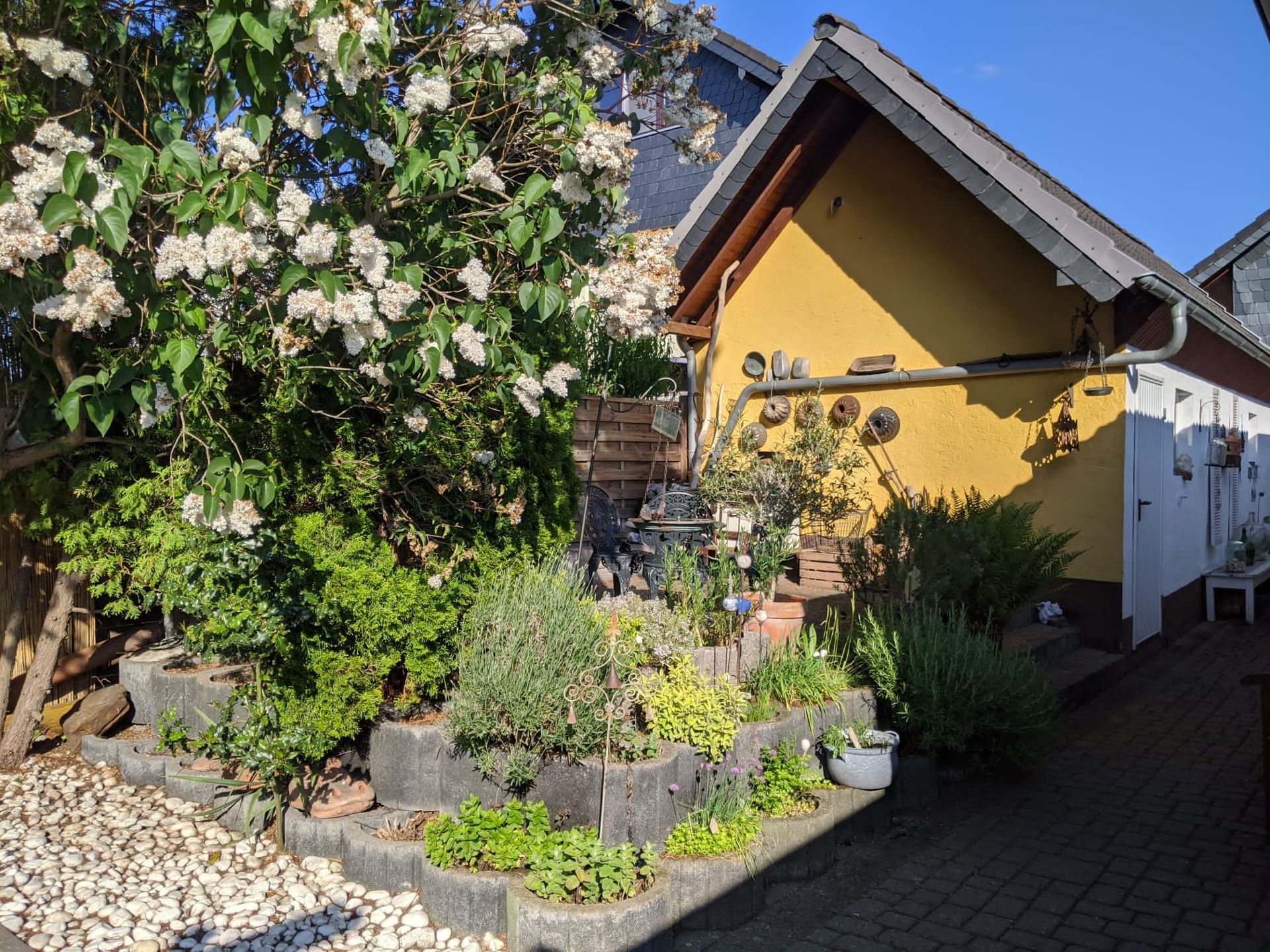 Gelbes Haus mit bepflanztem Garten, blühendem Baum und Steinweg im Vordergrund.