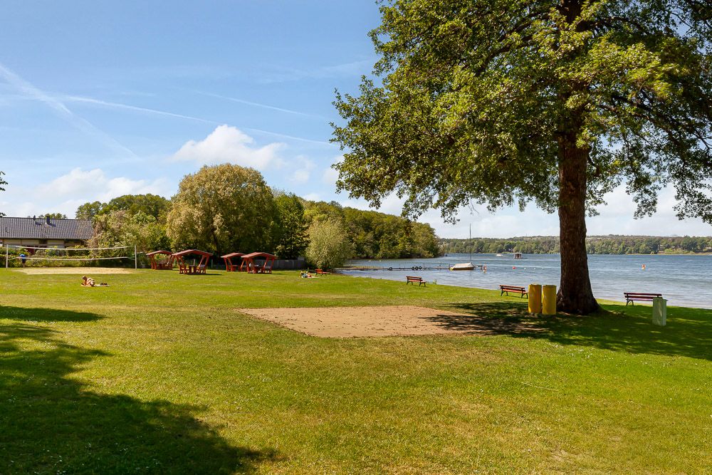 Große Liegewiese mit Bäumen, Bänken und Blick auf einen See bei sonnigem Wetter.