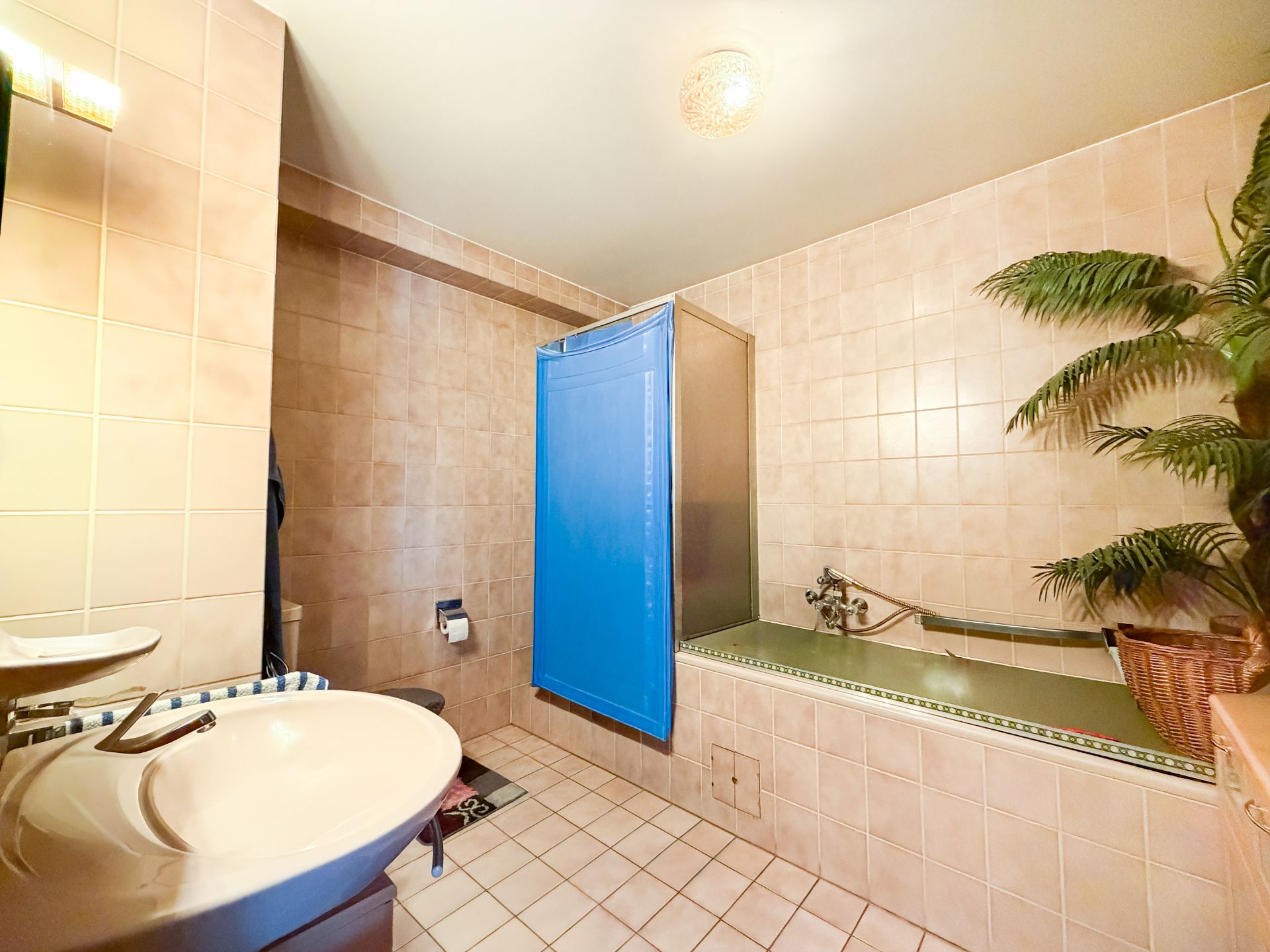 Badezimmer mit Waschbecken, Badewanne mit blauer Duschabtrennung und Zimmerpflanze.