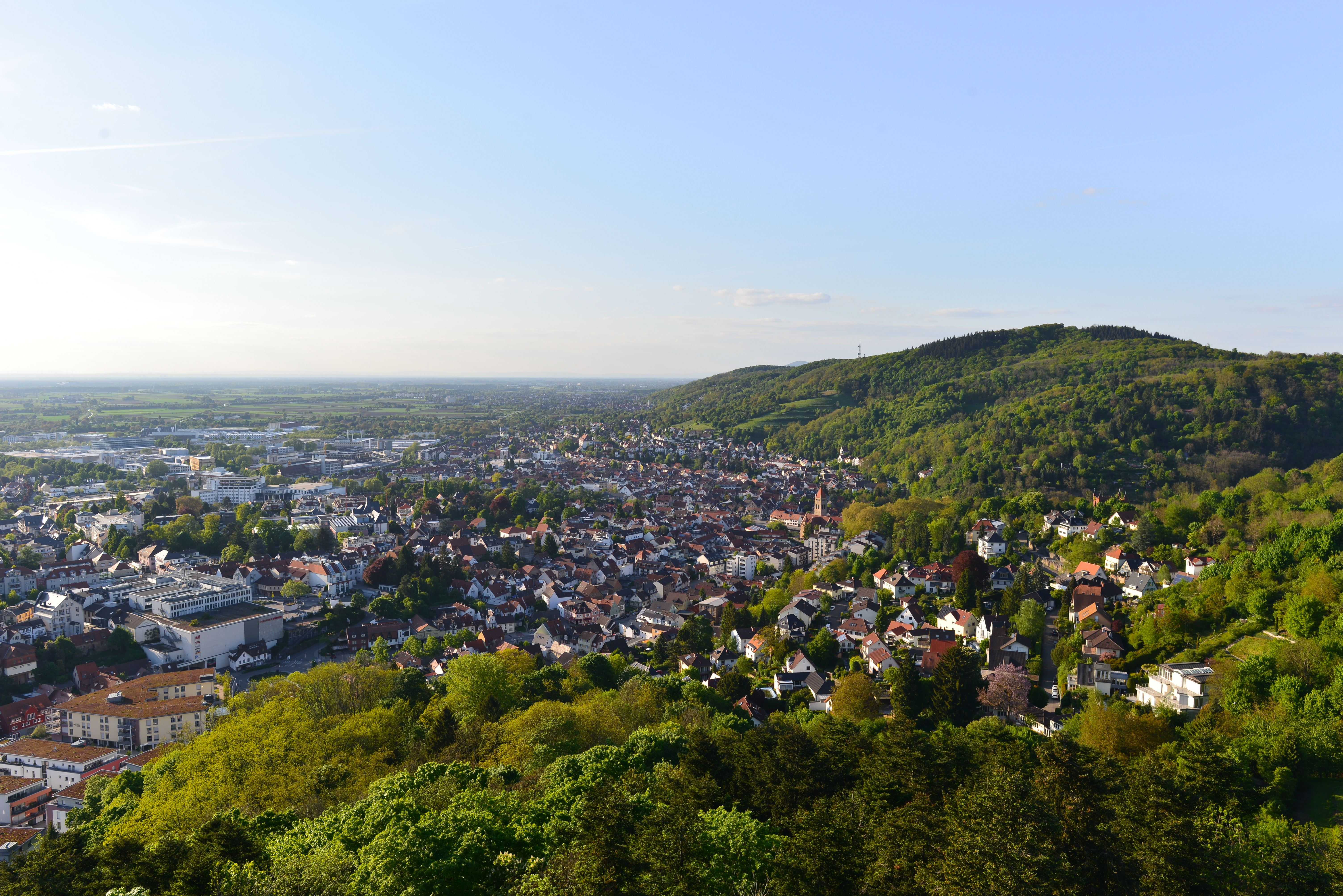Stadtansicht mit vielen Häusern, grünen Bäumen und einem bewaldeten Hügel im Hintergrund.