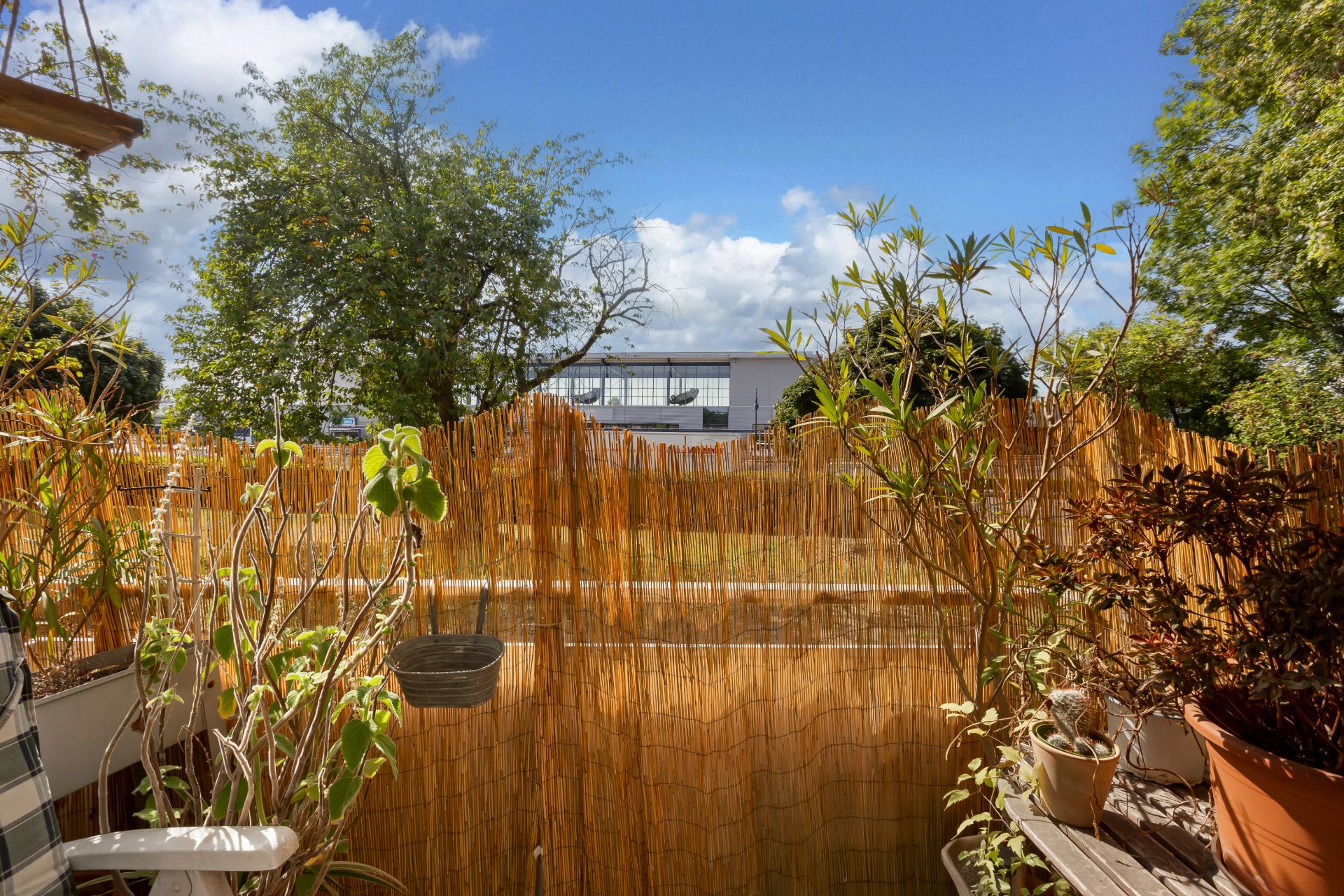 Kleiner Balkon mit Bambus-Sichtschutz, mehreren Pflanzen und Blick auf einen Garten.