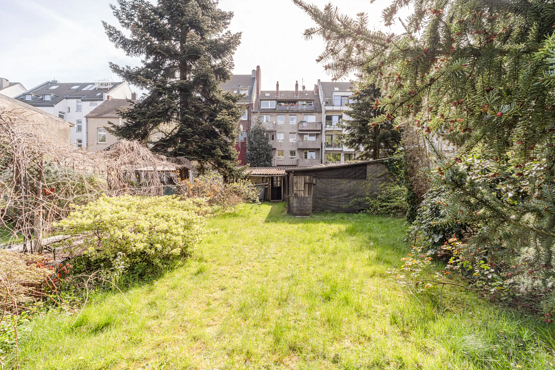 Grüner Garten mit Rasen, Sträuchern, großen Bäumen und einem kleinen Schuppen im Hintergrund.
