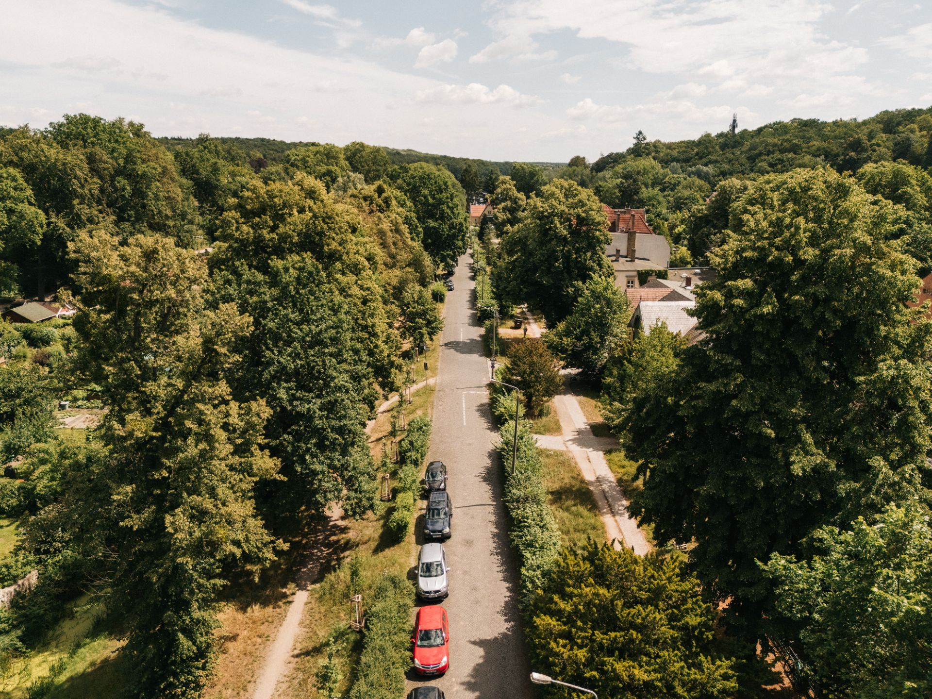 Luftaufnahme einer ruhigen Wohnstraße mit parkenden Autos und vielen Bäumen.