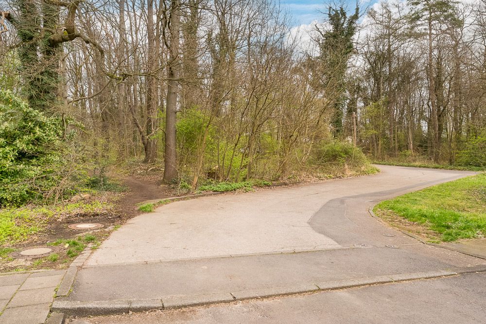 Gepflasterte Straße führt an Waldrand entlang, mit Bäumen und grünem Gebüsch.