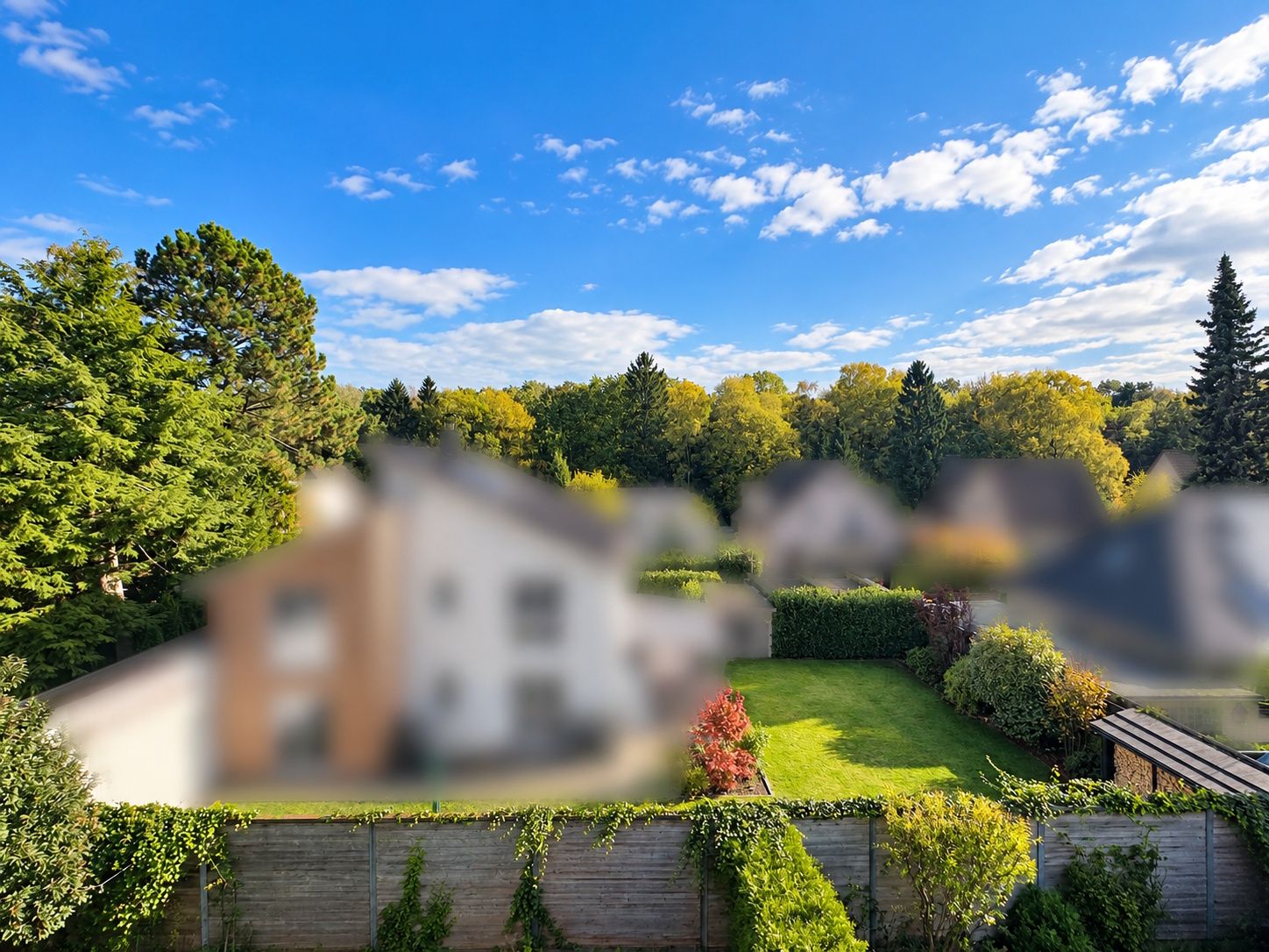 Blick auf einen grünen Garten mit Hecke und Bäumen im Hintergrund unter blauem Himmel.