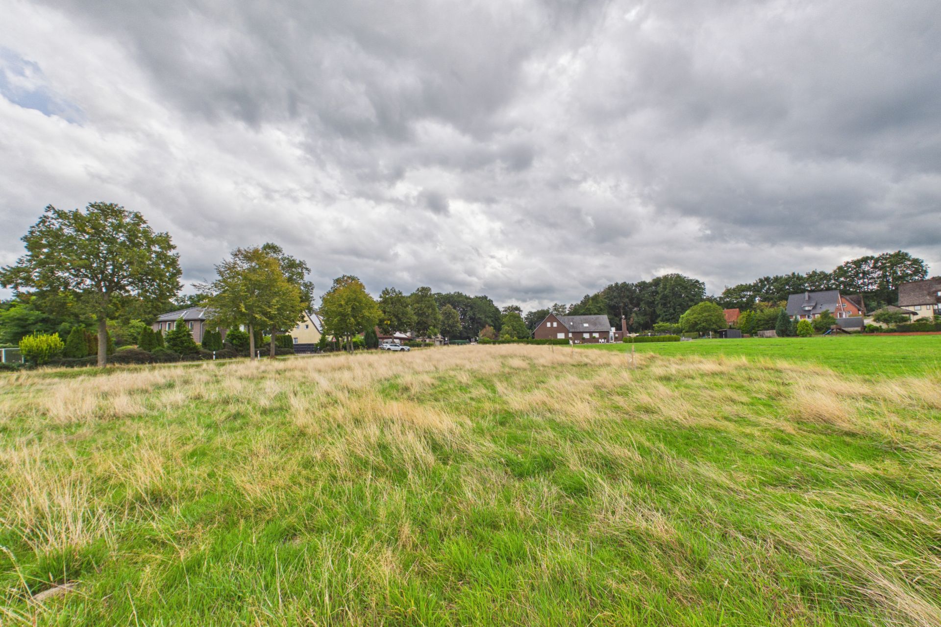 Grasbewachsene Wiese mit einzelnen Bäumen, im Hintergrund Wohnhäuser und wolkiger Himmel.