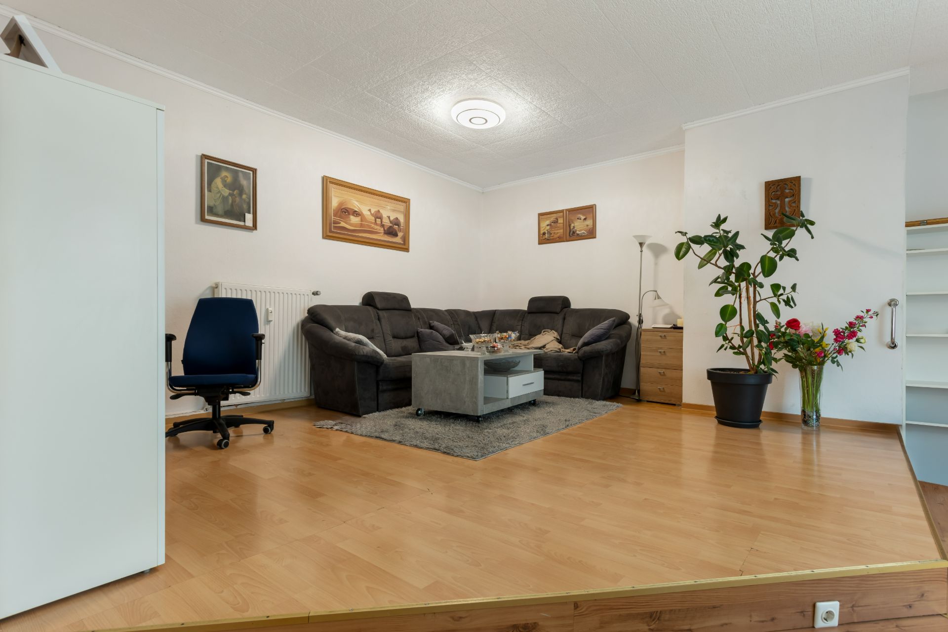 Wohnzimmer mit grauem Sofa, Schreibtischstuhl, Teppich, Couchtisch und Zimmerpflanzen.