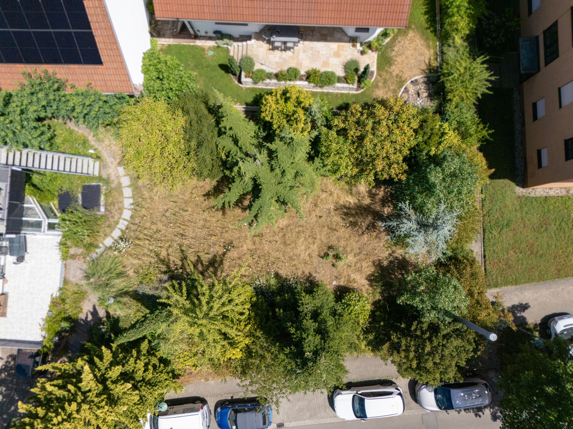 Vogelperspektive auf ein Grundstück mit Bäumen, Rasen und angrenzender Straße mit geparkten Autos.