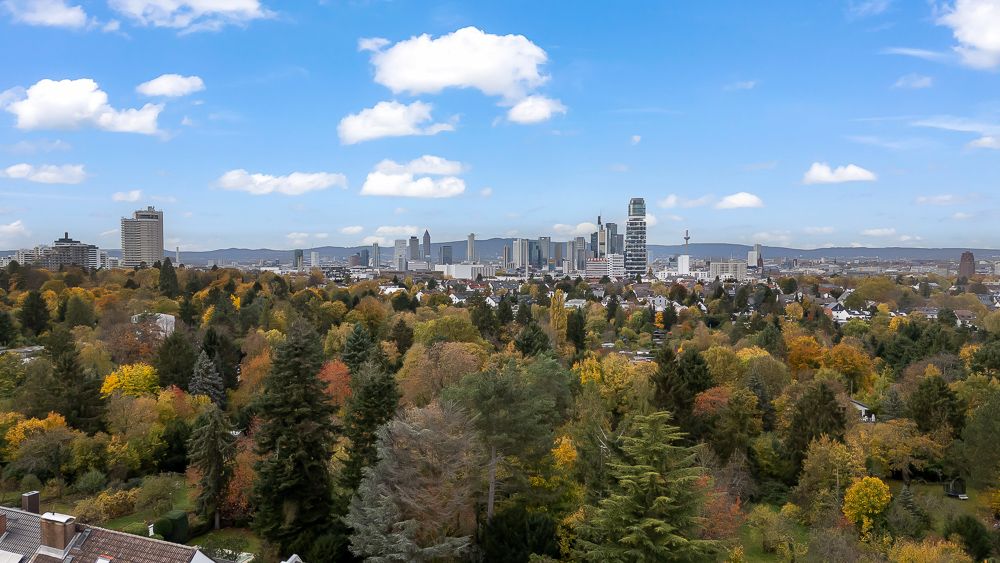 Blick auf eine grüne Wohngegend mit vielen Bäumen und einer Stadt-Skyline im Hintergrund.