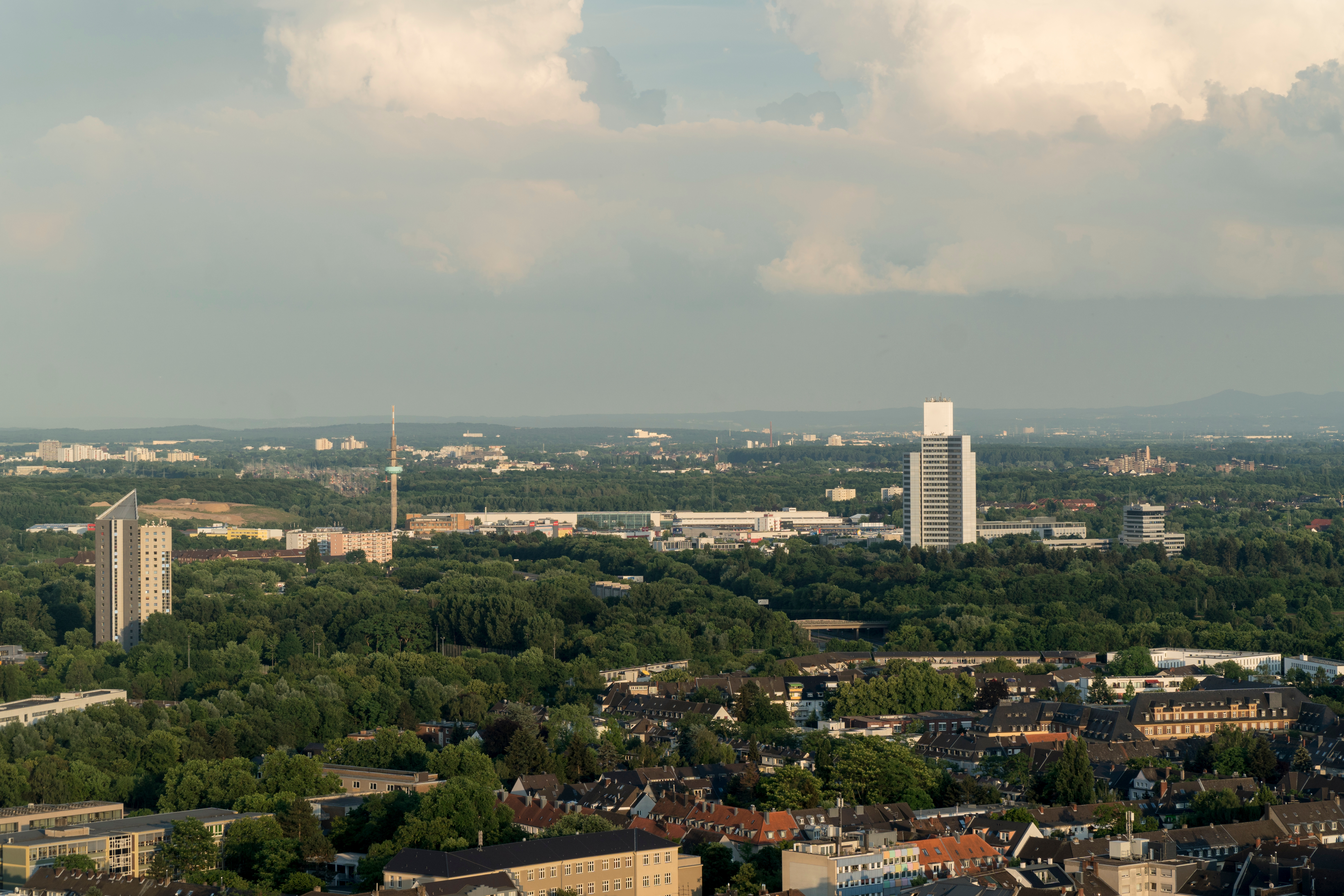Stadtansicht mit vielen Bäumen, Wohnhäusern und zwei hohen Gebäuden im Hintergrund.