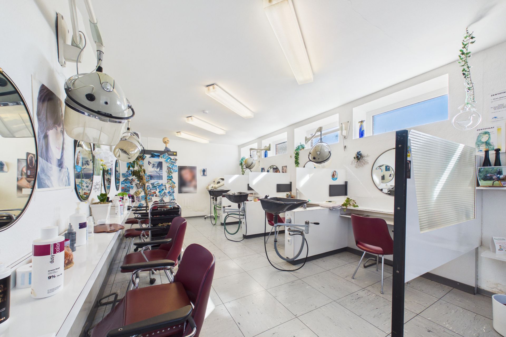Heller Friseursalon mit roten Stühlen, Spiegeln und Waschbecken, Pflanzen und Wandbildern.