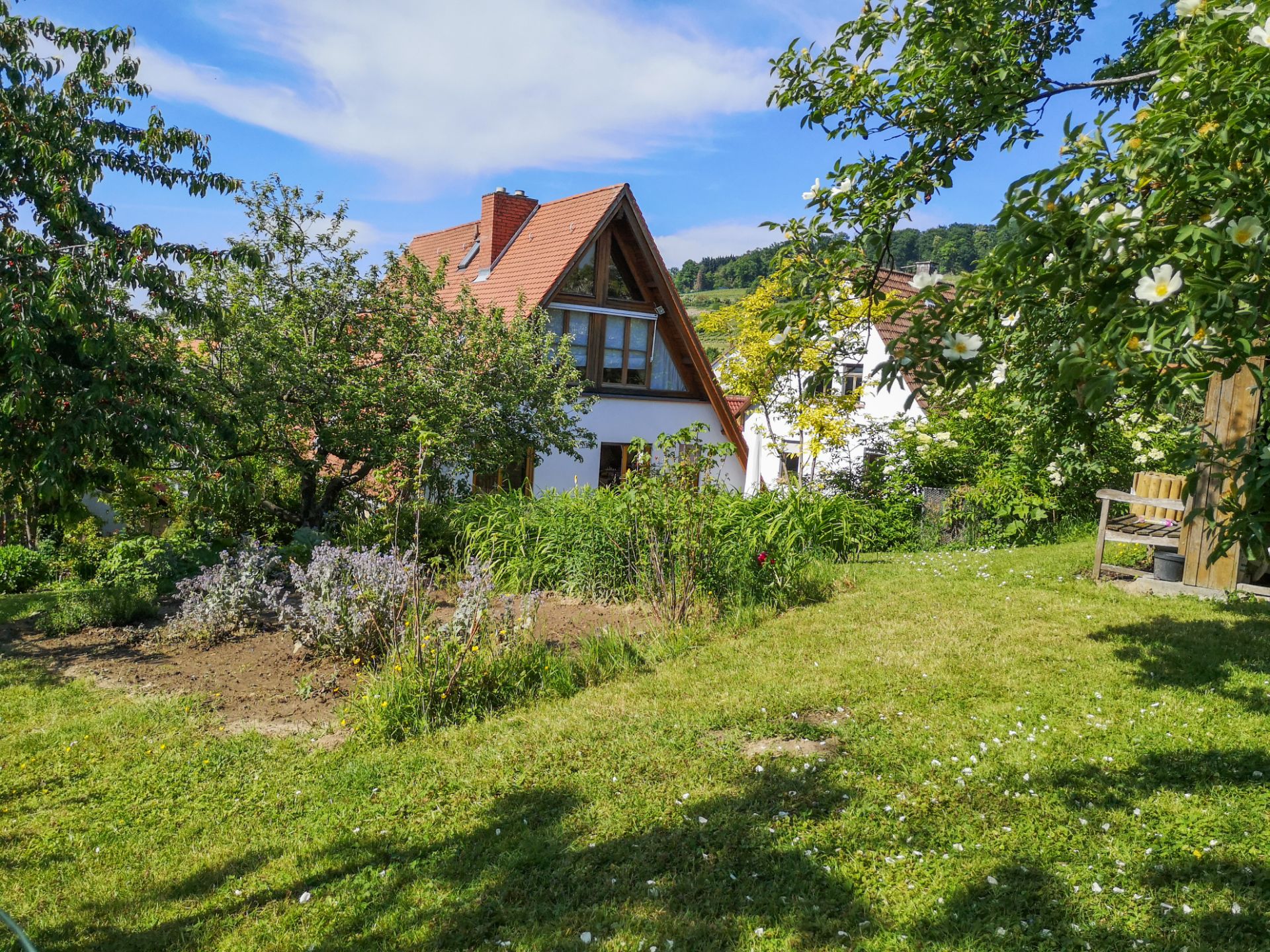 Haus mit rotem Satteldach, großer Fensterfront und grünem Garten mit Bäumen und Blumen.