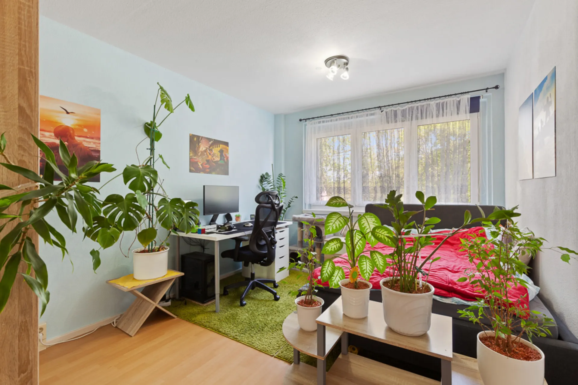 Wohnzimmer mit vielen Zimmerpflanzen, Schreibtisch mit Computer und Sofa mit roter Decke.