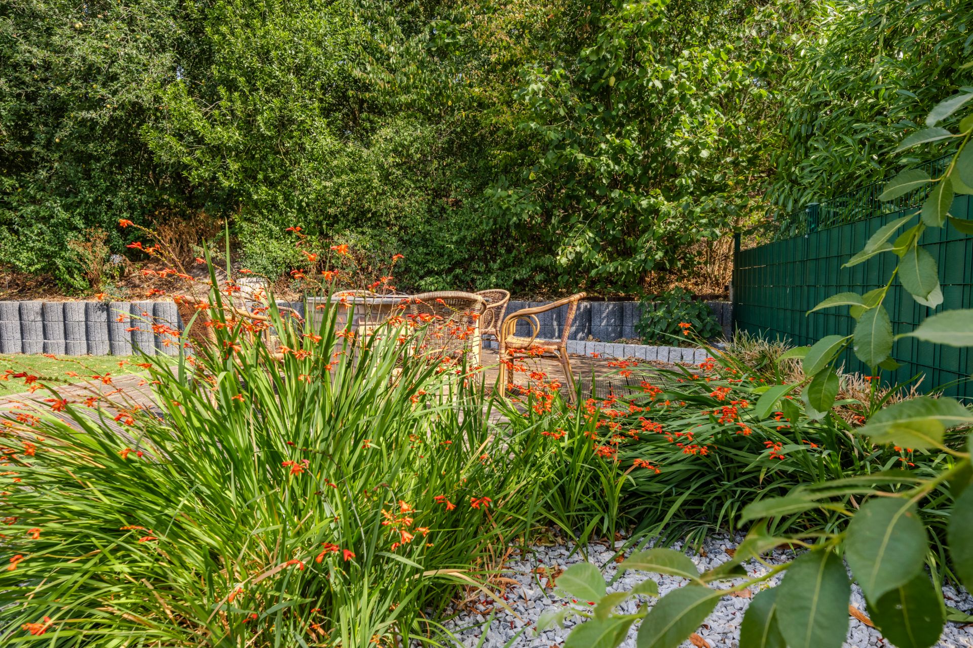 Garten mit grünen Pflanzen, orangefarbenen Blumen und einem Sitzbereich mit Stühlen.
