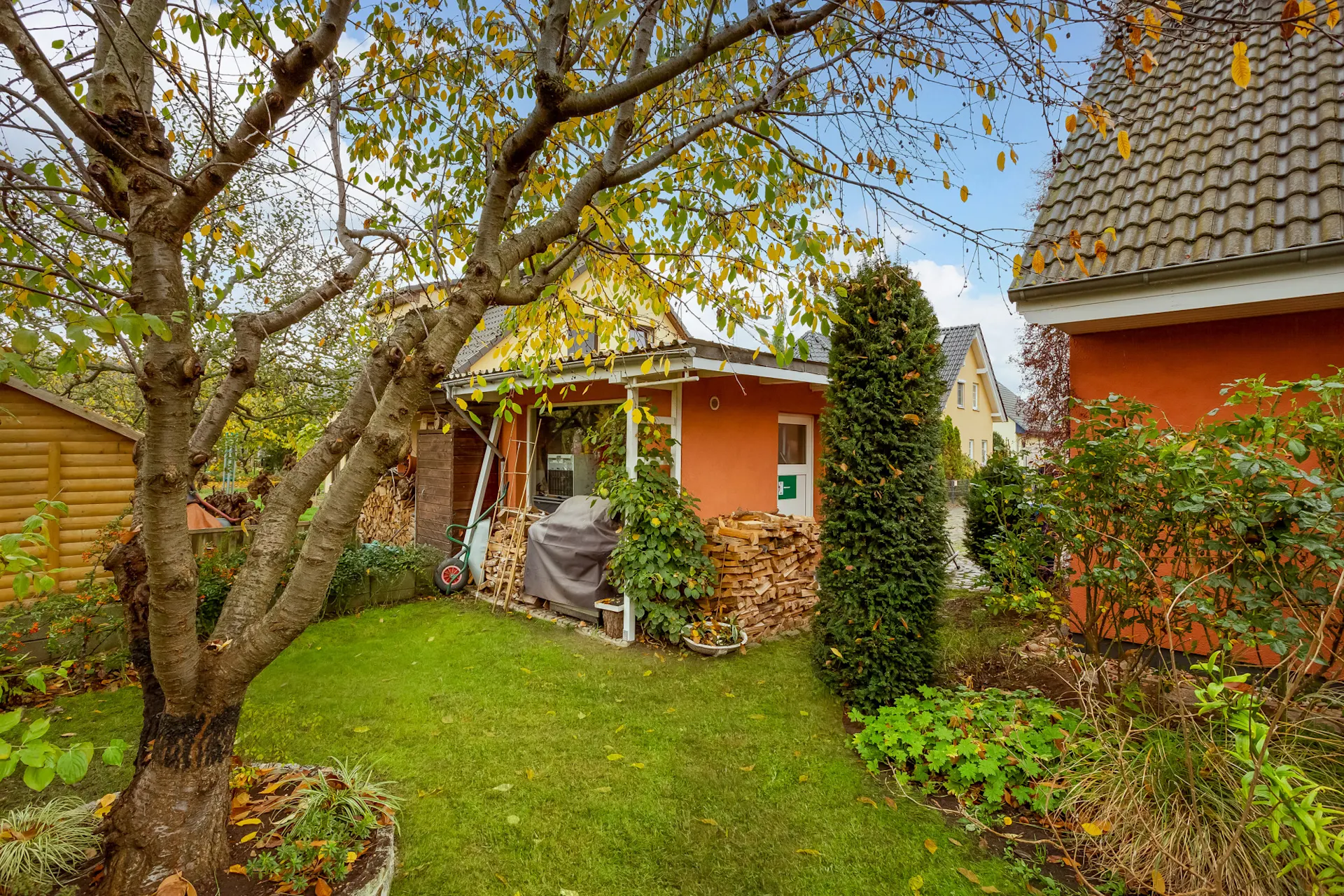 Garten mit Rasen, Baum und Holzstapeln neben einem orangefarbenen Haus.