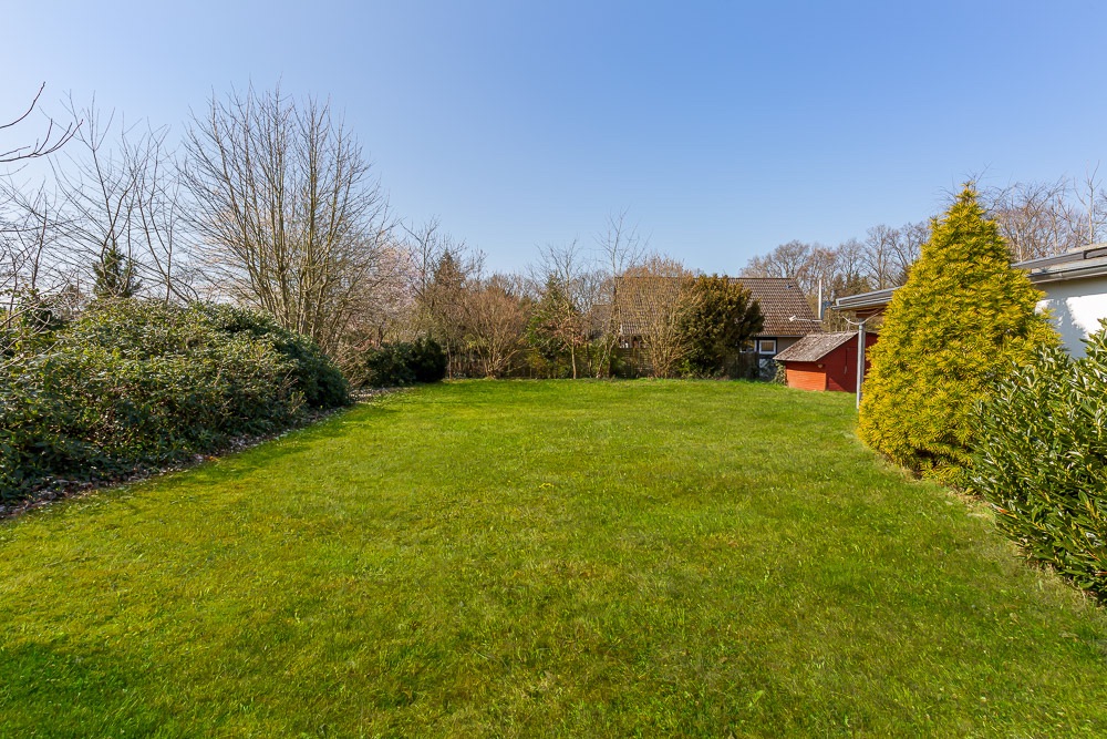 Großer grüner Garten mit Bäumen und Sträuchern, daneben ein Haus und ein kleines rotes Gartenhaus.