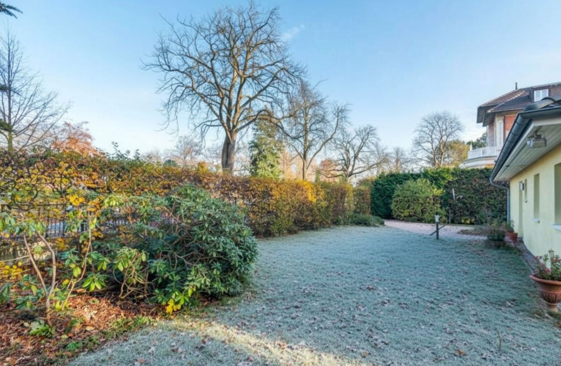 Garten mit Rasen, Sträuchern, Bäumen und seitlich einem gelben Wohnhaus.