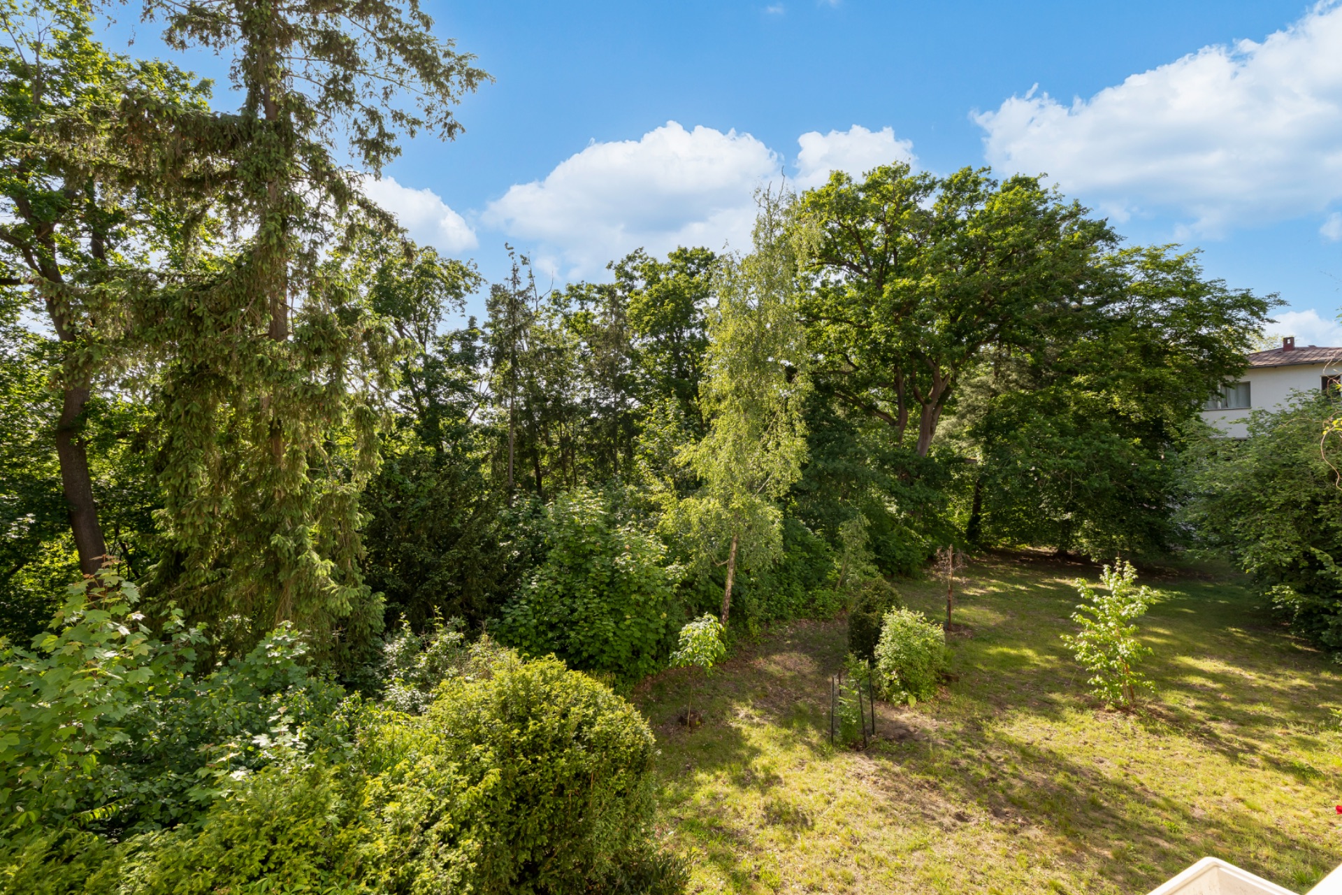 Grüner Garten mit Rasenfläche, Bäumen und Büschen bei sonnigem Wetter.