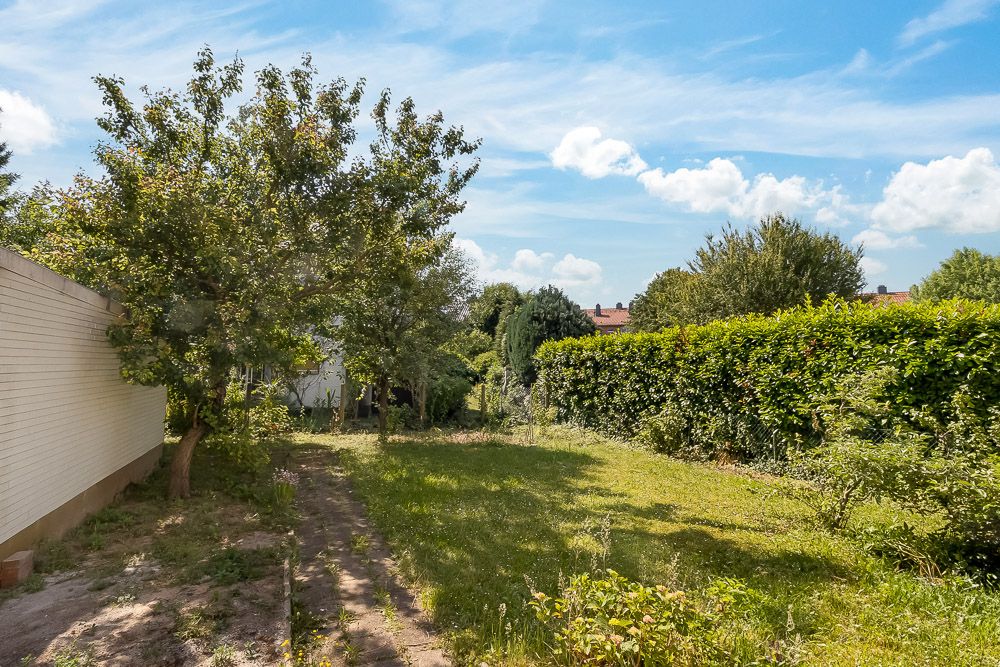 Garten mit Rasen, Bäumen und Hecke an der Seite eines Wohnhauses bei sonnigem Wetter.