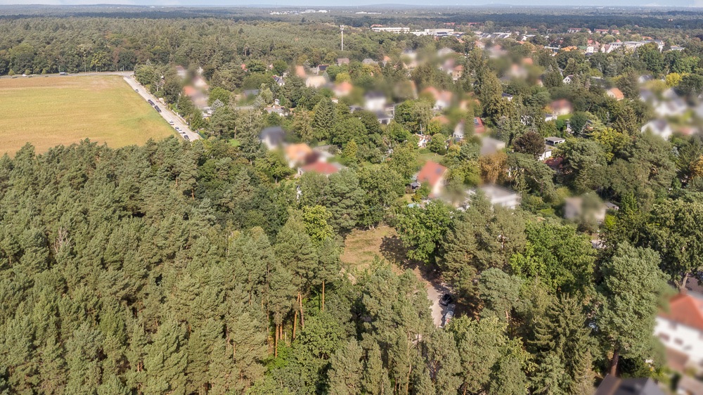Luftaufnahme eines Wohngebiets mit vielen Bäumen und einzelnen Häusern.