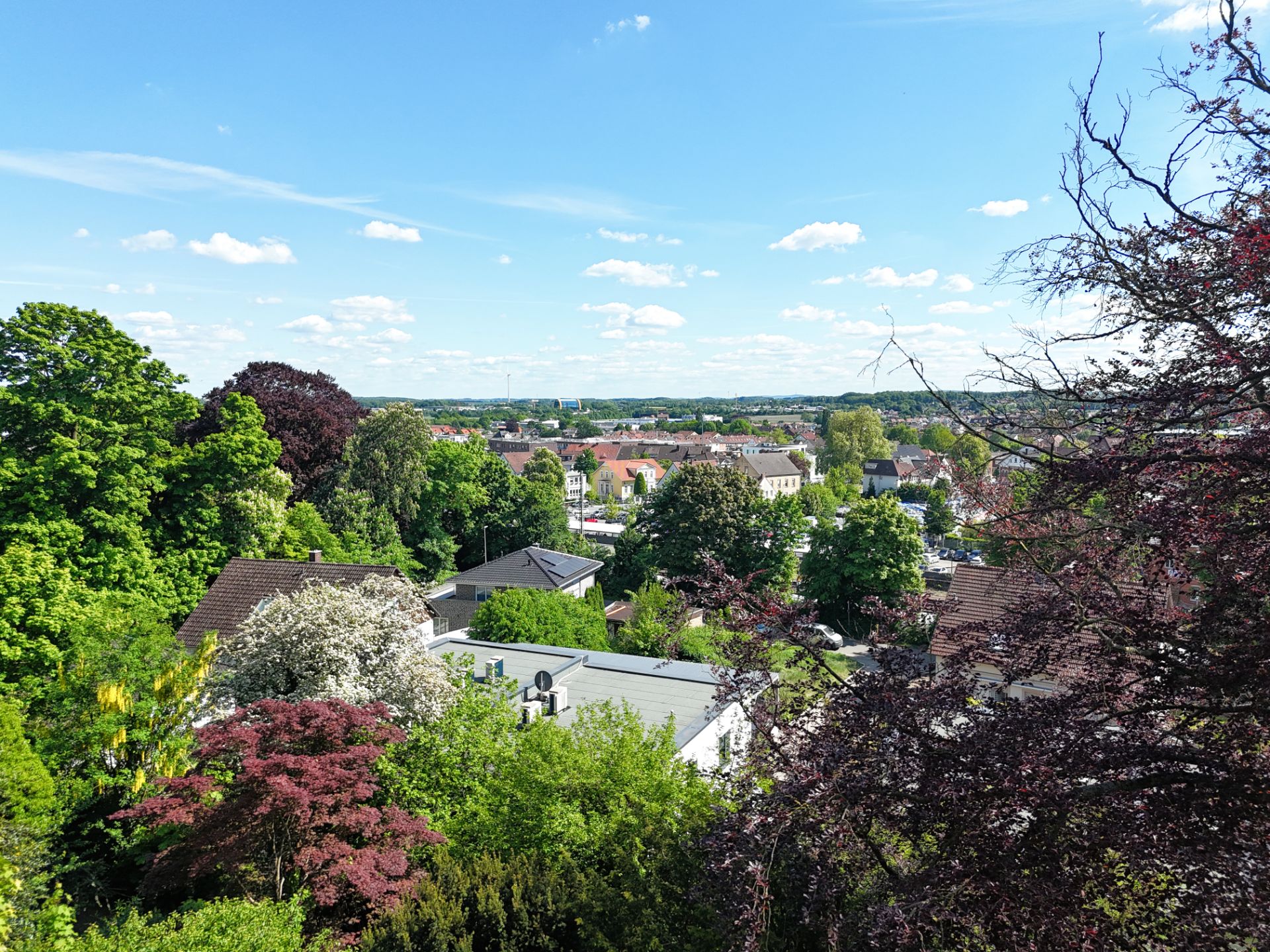 Blick auf Wohnhäuser und üppige Bäume unter blauem Himmel mit wenigen Wolken.