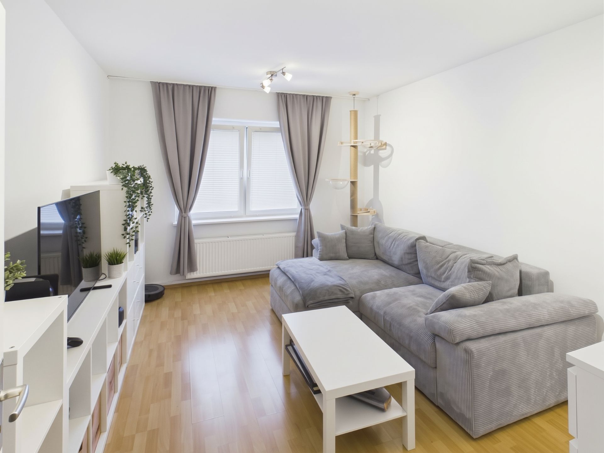 Helles Wohnzimmer mit grauem Sofa, Couchtisch, Fernseher und zwei Fenstern mit Vorhängen.
