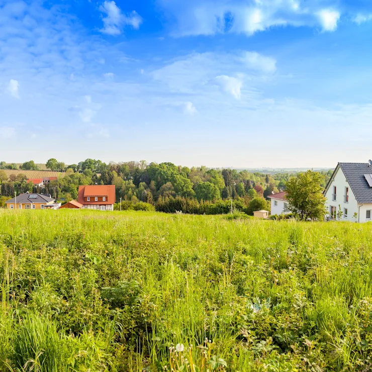 Wiese mit mehreren Einfamilienhäusern im Hintergrund unter blauem Himmel.