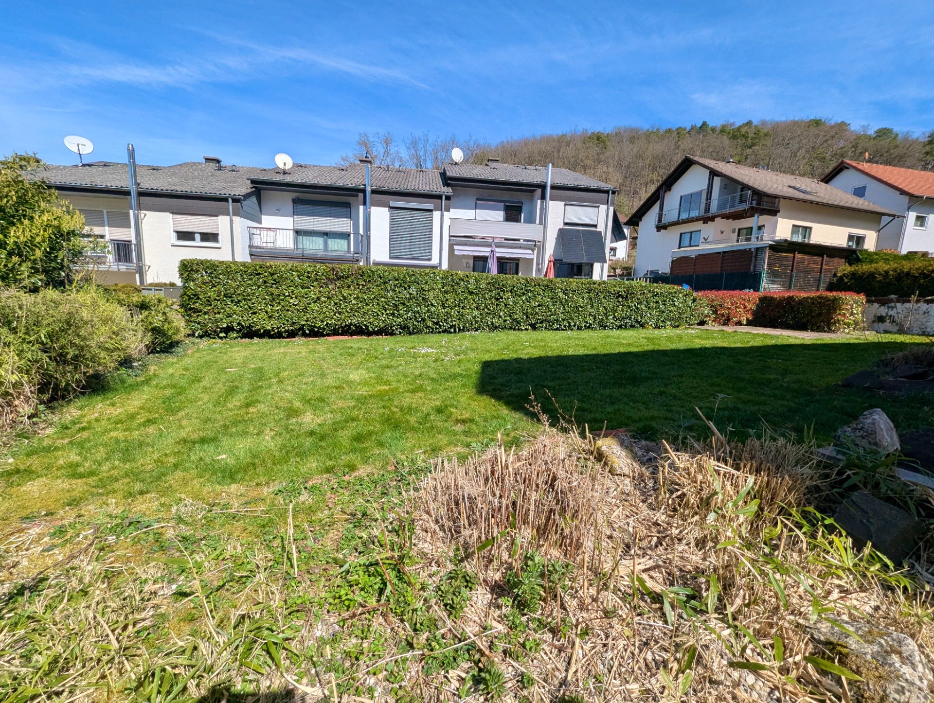 Grüner Garten mit Hecke und modernen Wohnhäusern im Hintergrund bei sonnigem Wetter.