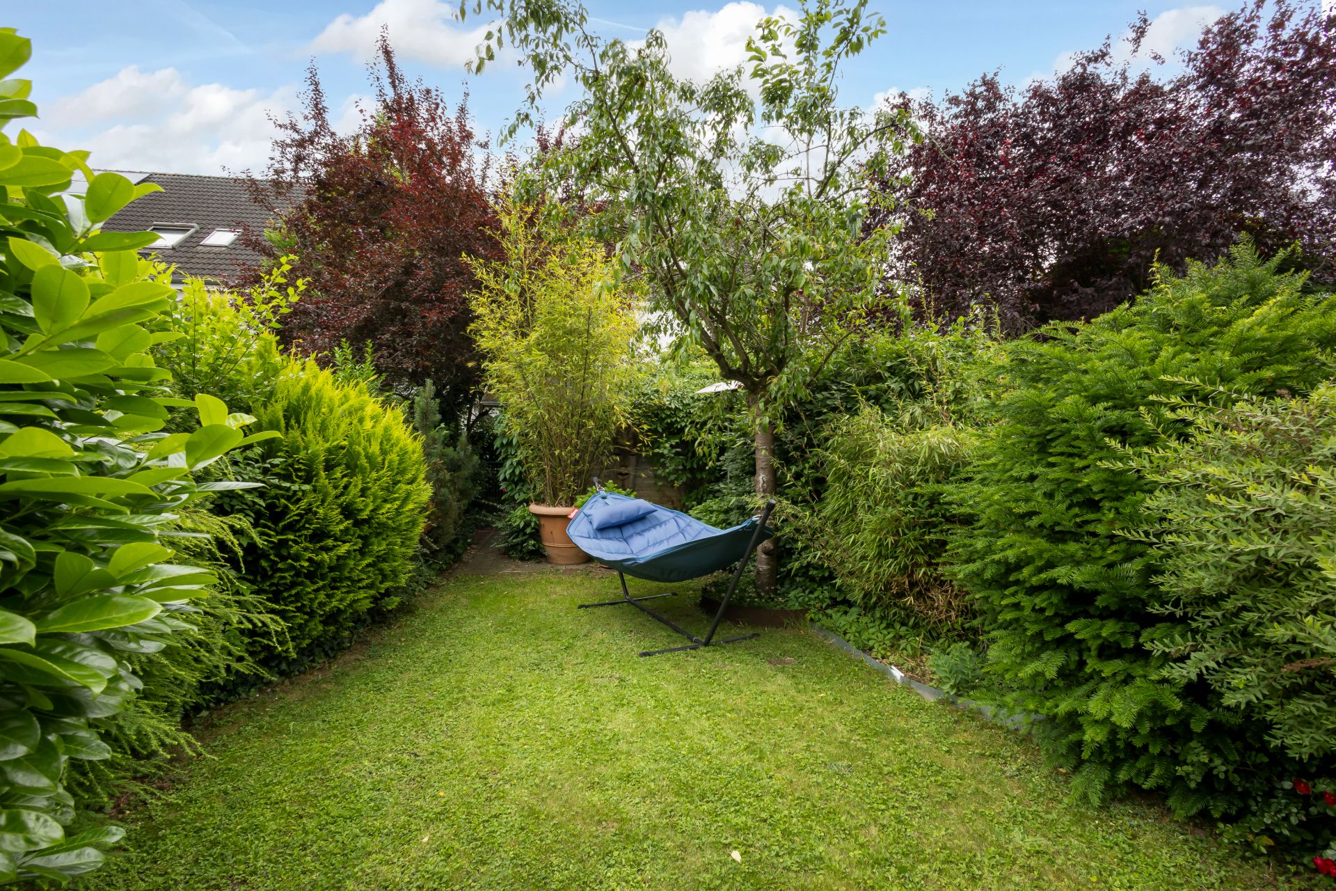 Grüner Garten mit Hängesessel und dichten Büschen.