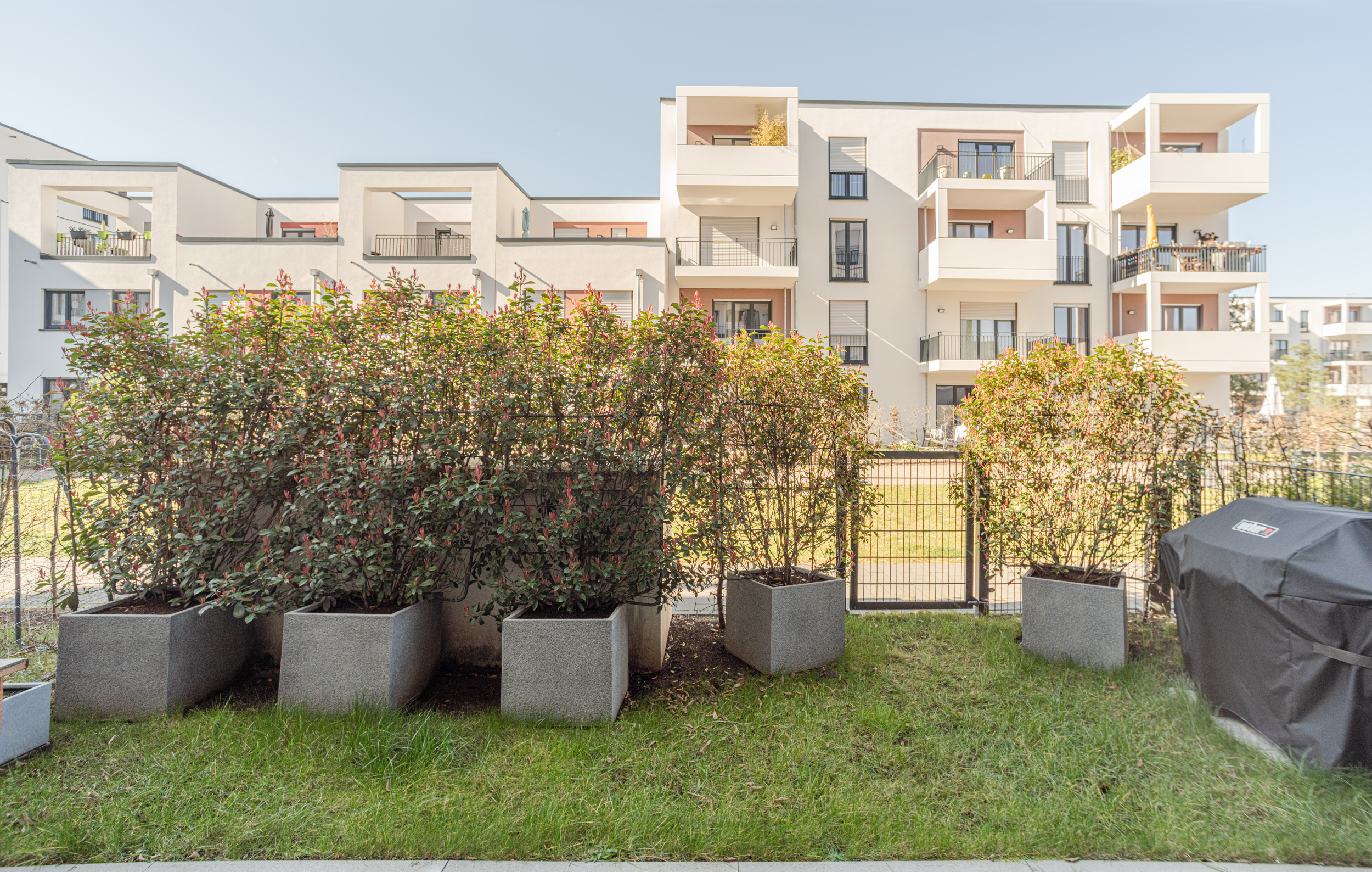 Blick auf einen Garten mit Pflanzkübeln, Zaun und modernen Wohngebäuden im Hintergrund.