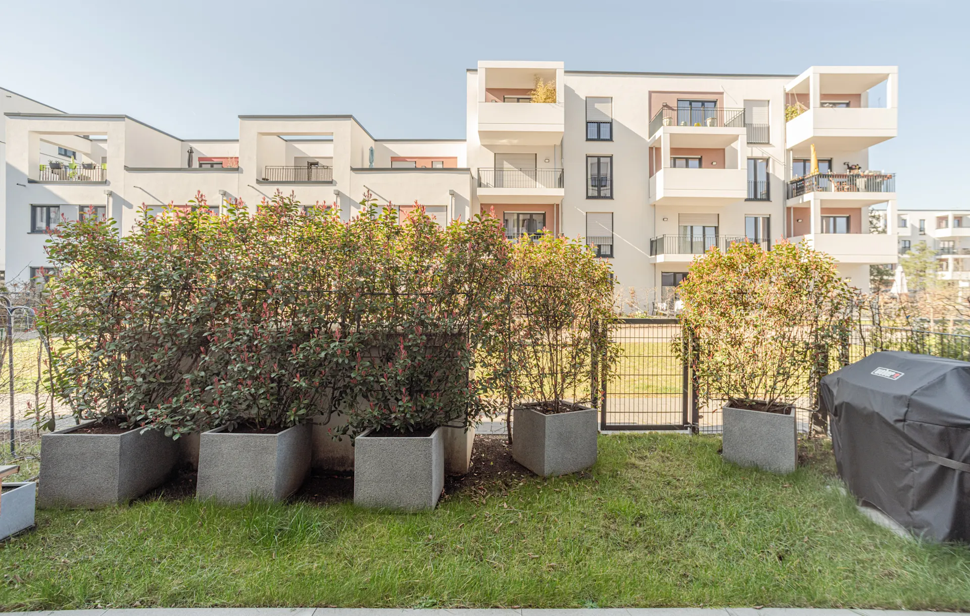 Blick auf einen Garten mit Pflanzkübeln, Zaun und modernen Wohngebäuden im Hintergrund.